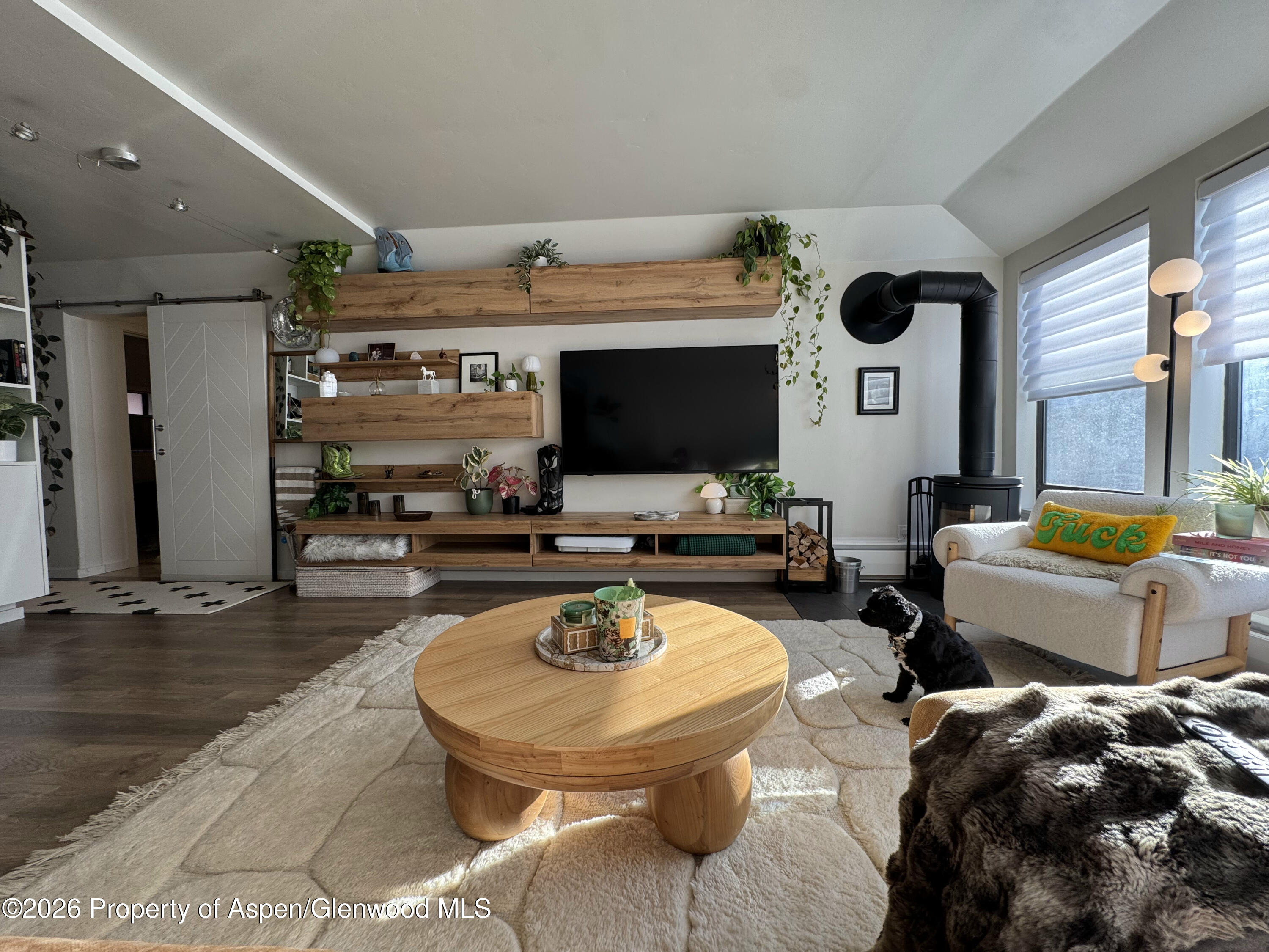 942 Vine Street Aspen CO 81611