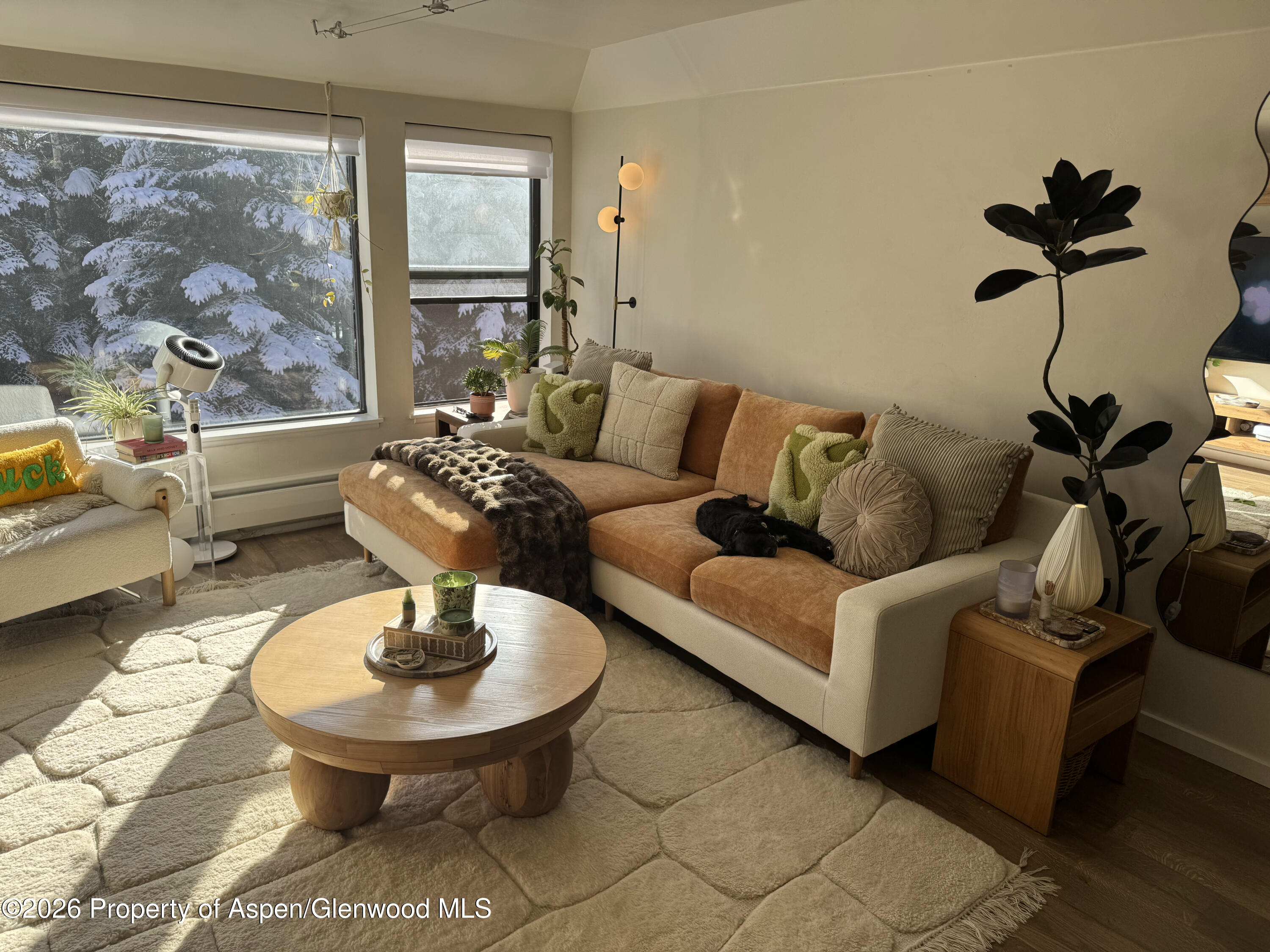 942 Vine Street Aspen CO 81611