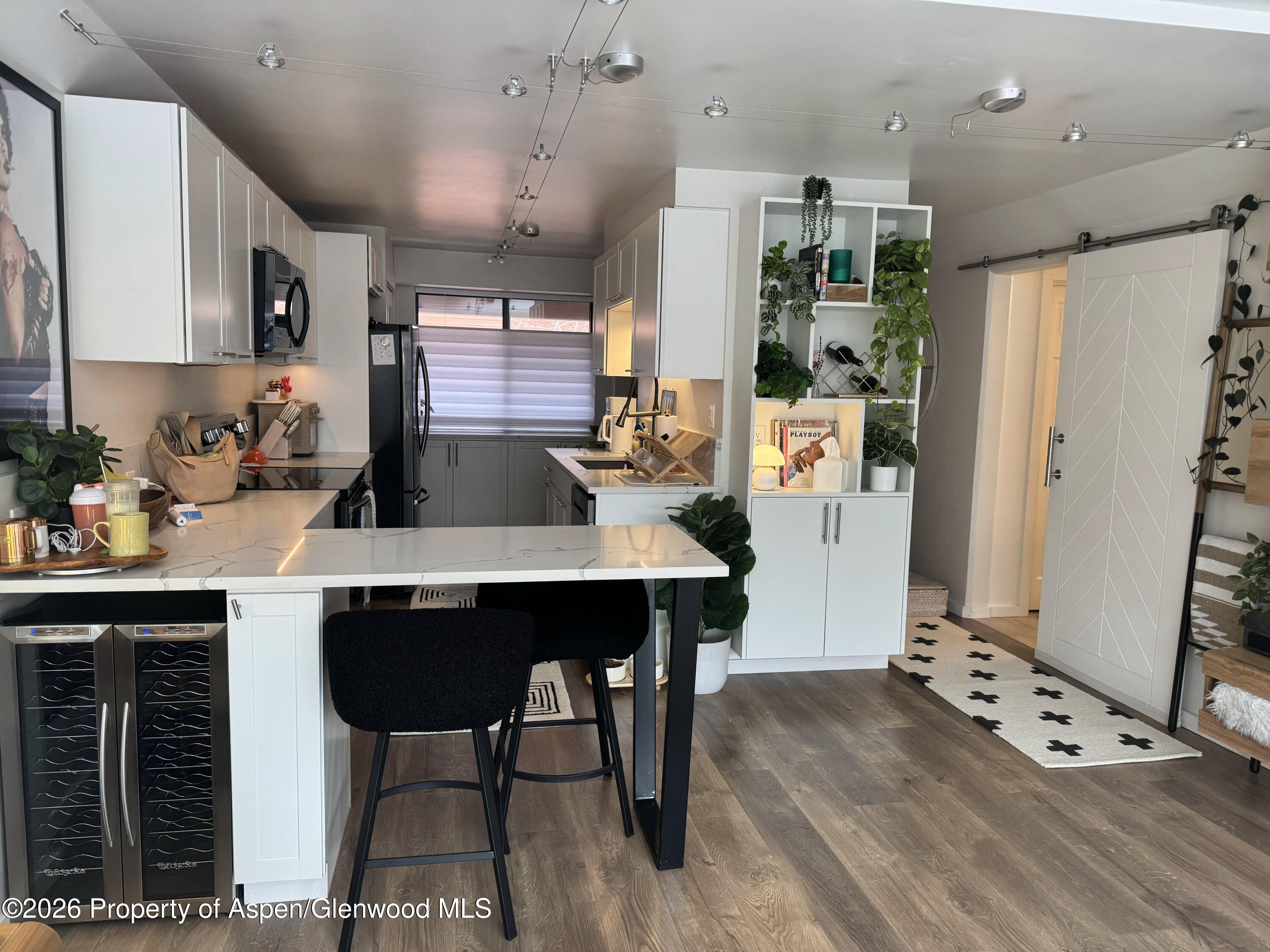942 Vine Street Aspen CO 81611