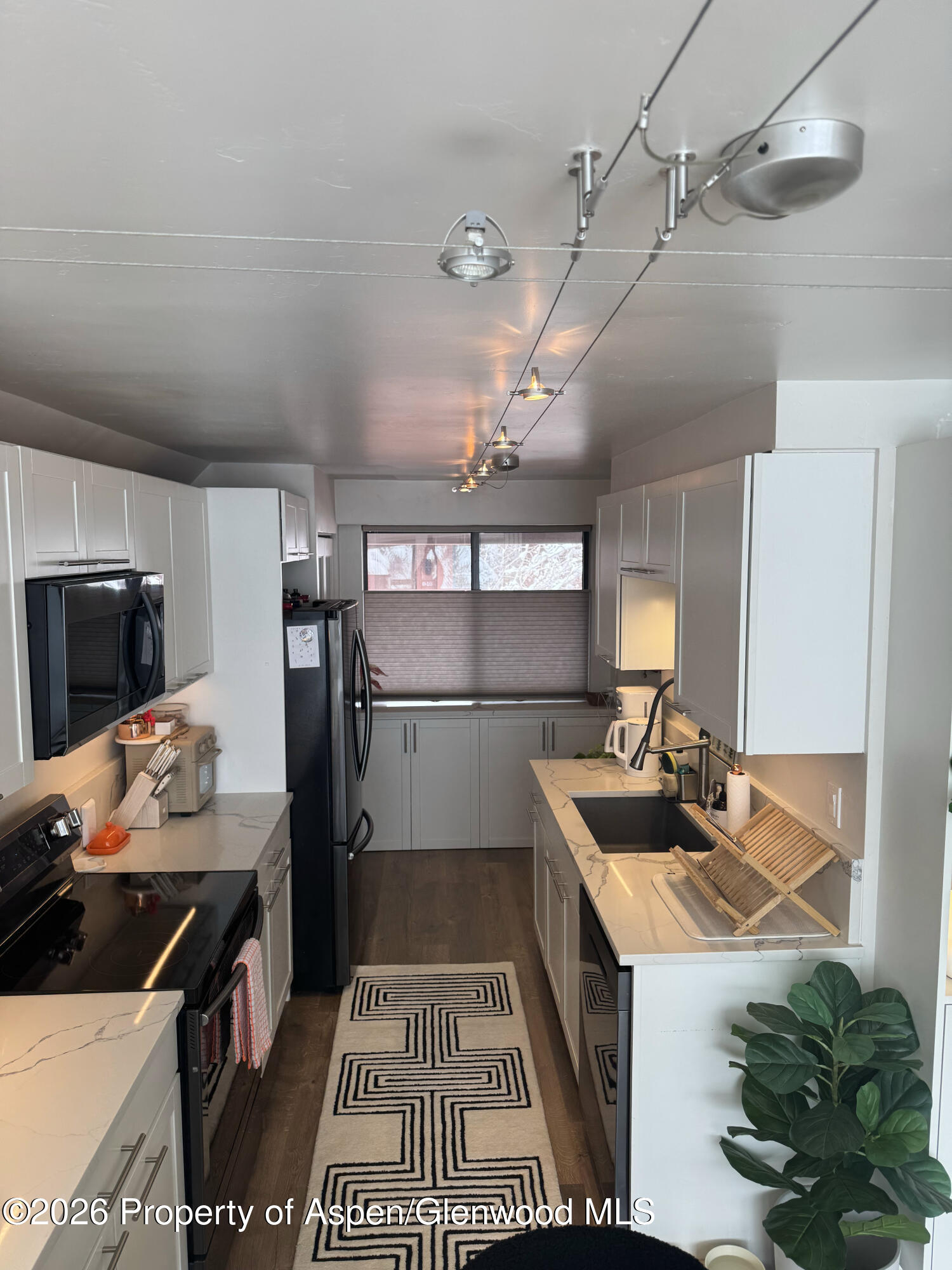 942 Vine Street Aspen CO 81611