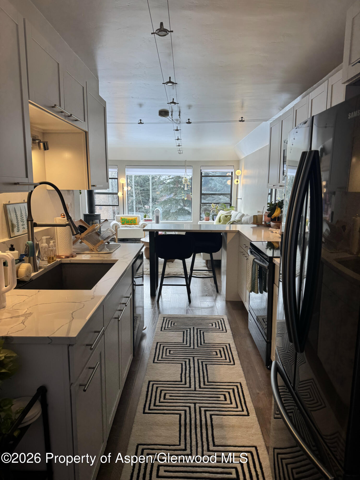 942 Vine Street Aspen CO 81611