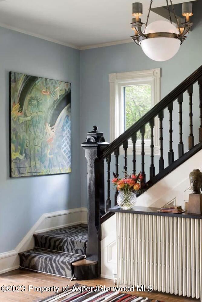 710 N 3rd Street Aspen CO 81611