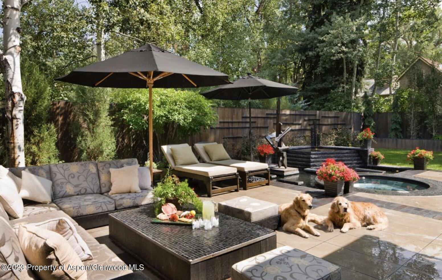 710 N 3rd Street Aspen CO 81611