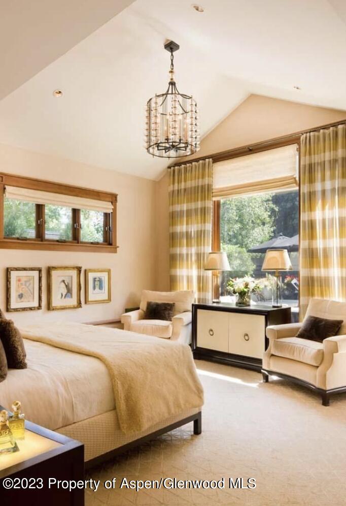 710 N 3rd Street Aspen CO 81611