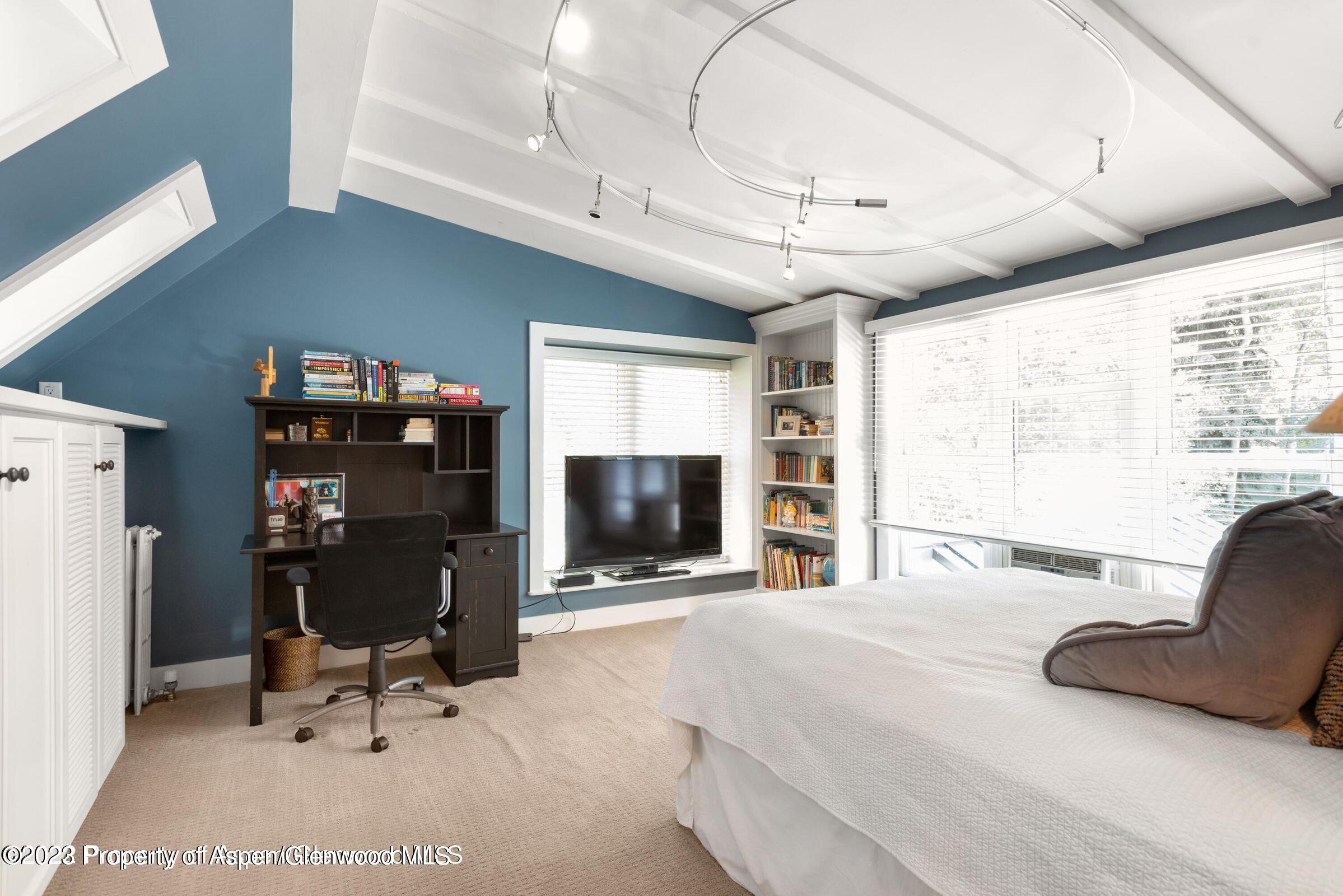 710 N 3rd Street Aspen CO 81611