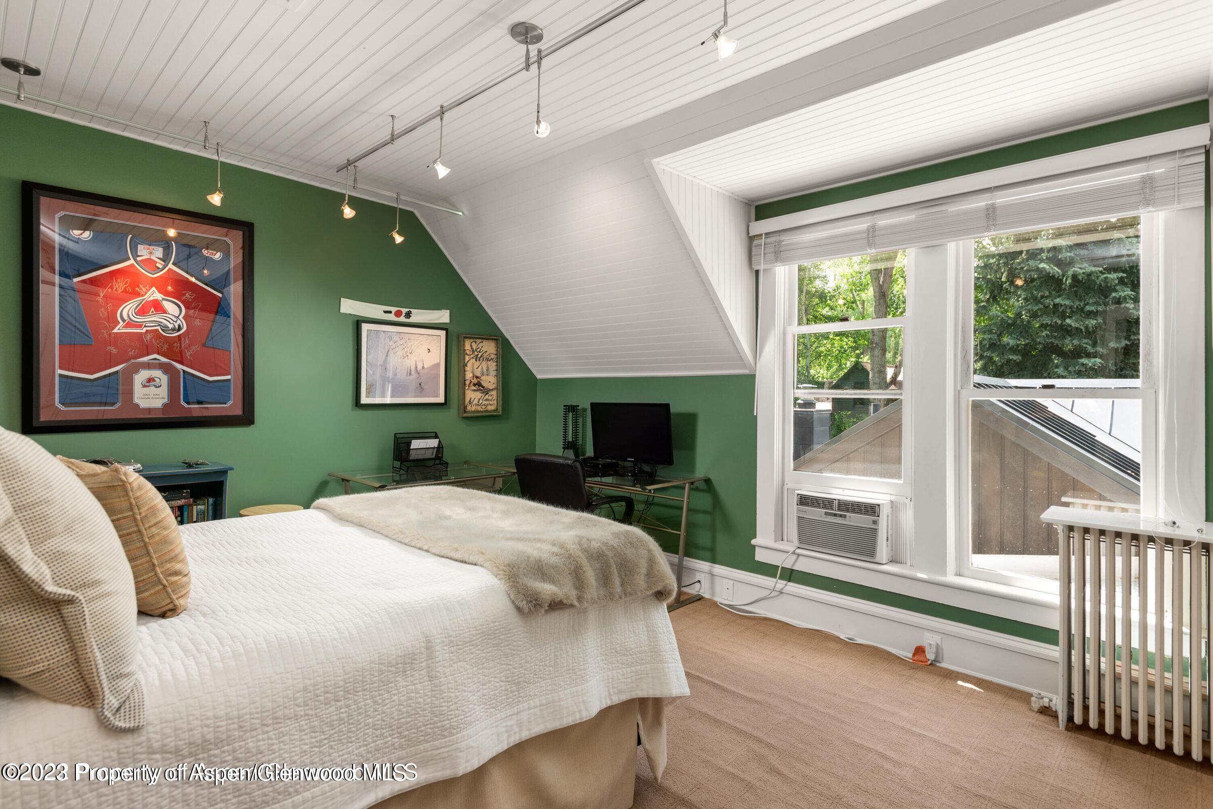 710 N 3rd Street Aspen CO 81611