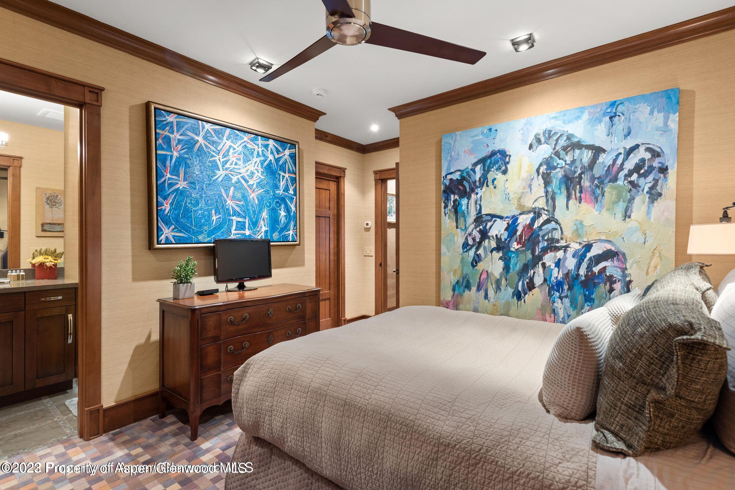 710 N 3rd Street Aspen CO 81611