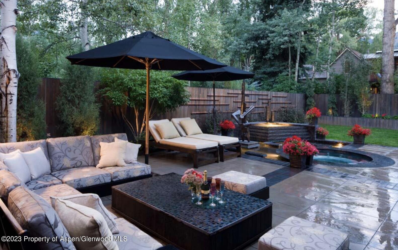 710 N 3rd Street Aspen CO 81611