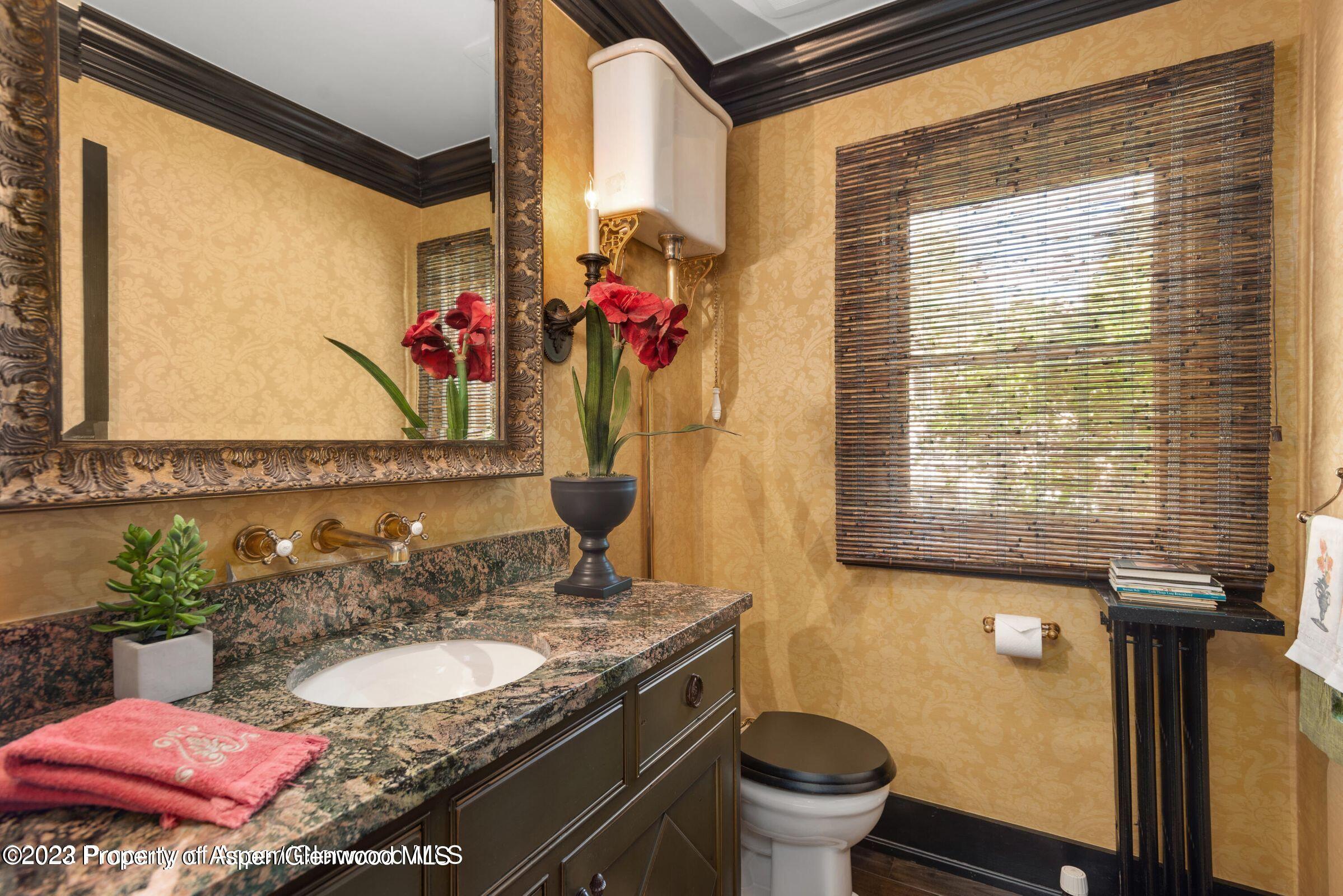 710 N 3rd Street Aspen CO 81611