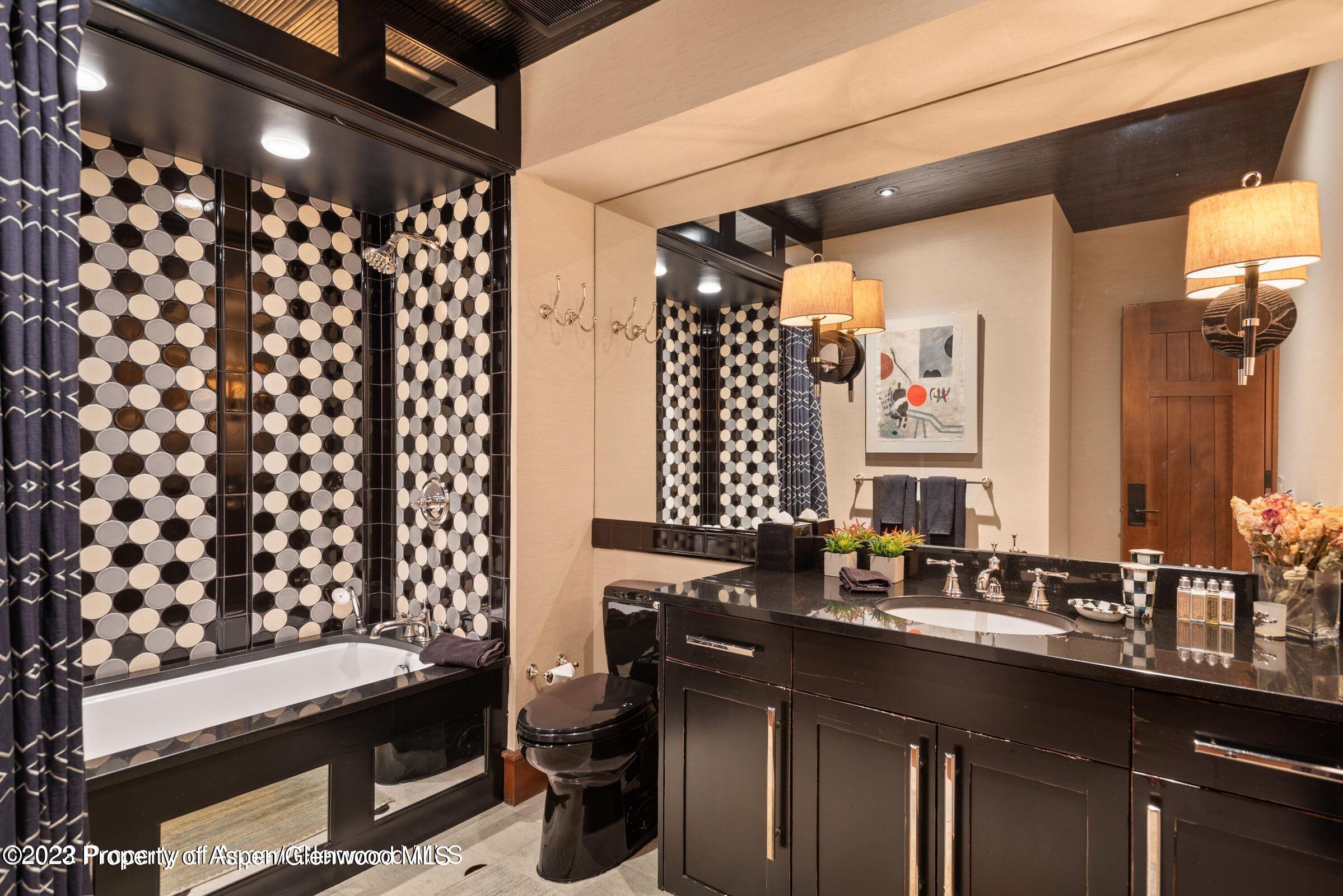 710 N 3rd Street Aspen CO 81611