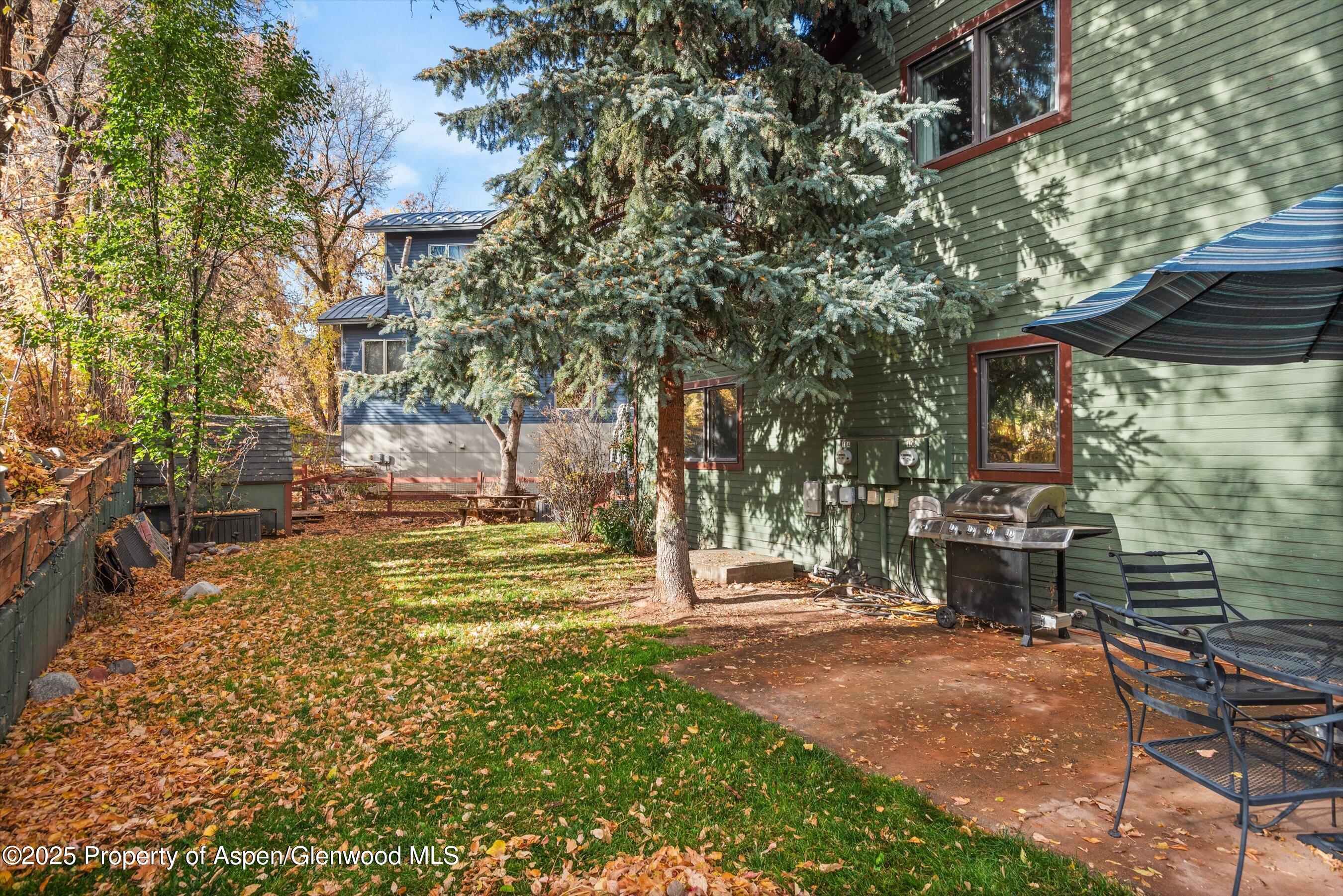 106 Swinging Bridge Lane Basalt CO 81621