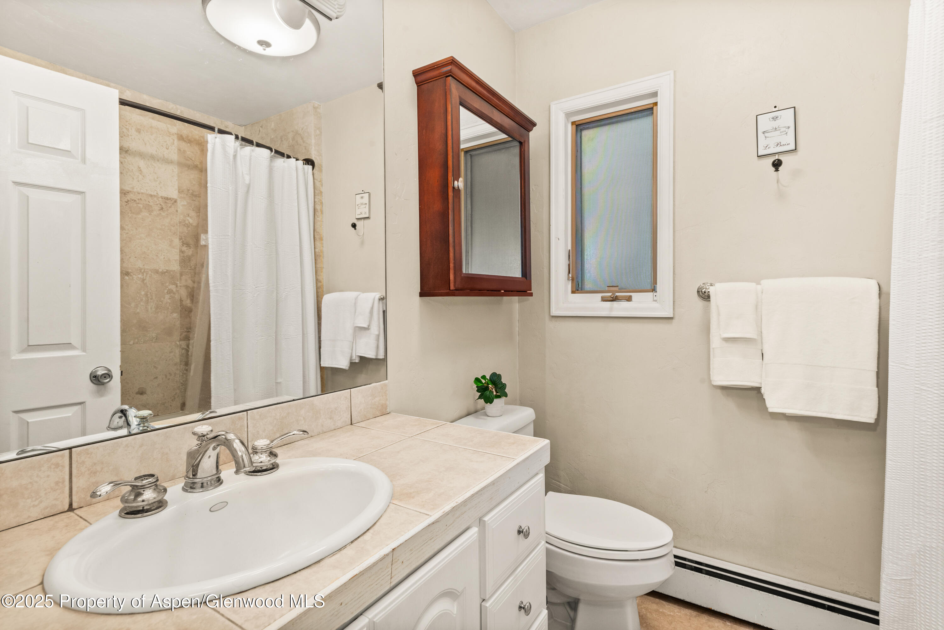 106 Swinging Bridge Lane Basalt CO 81621