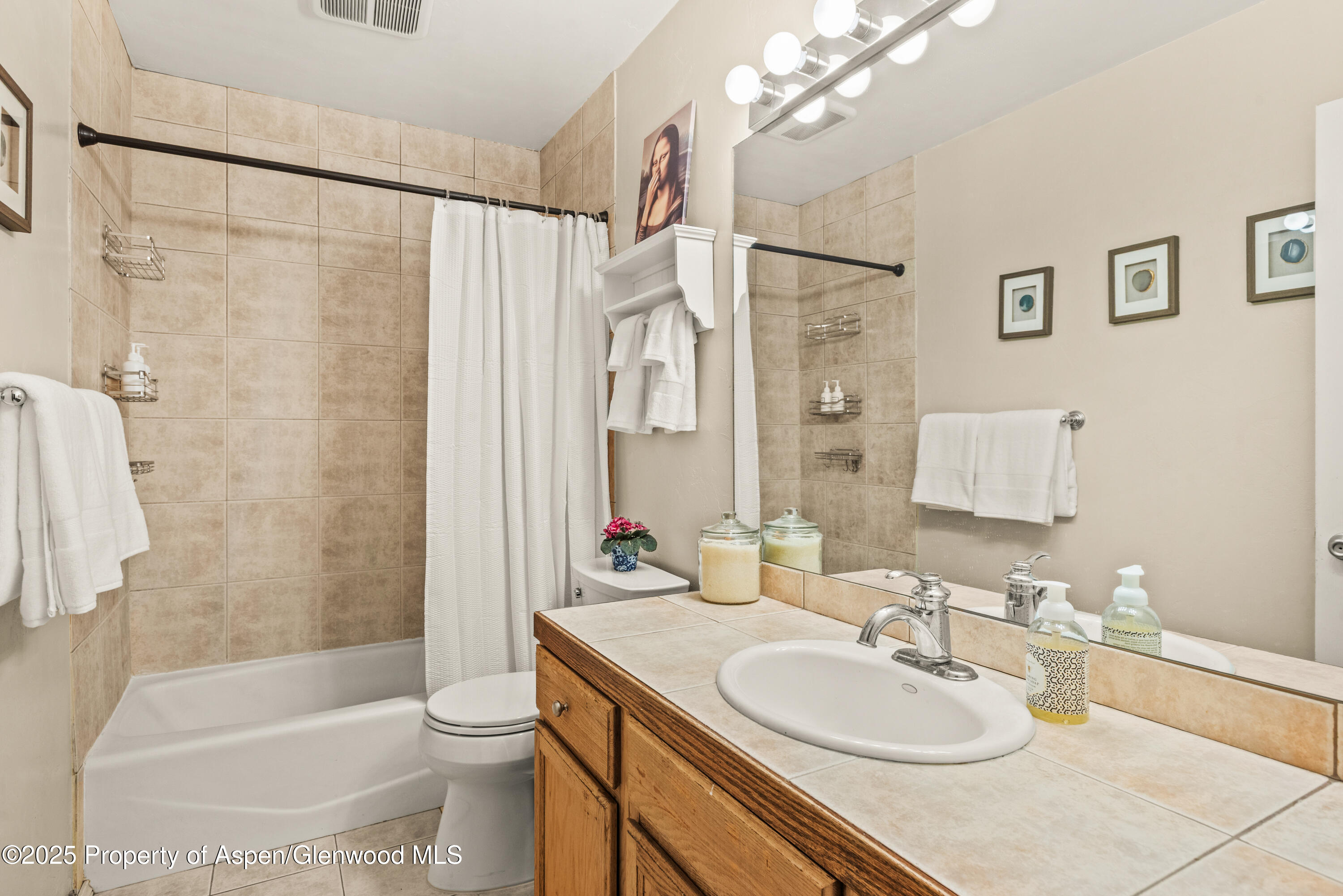 106 Swinging Bridge Lane Basalt CO 81621