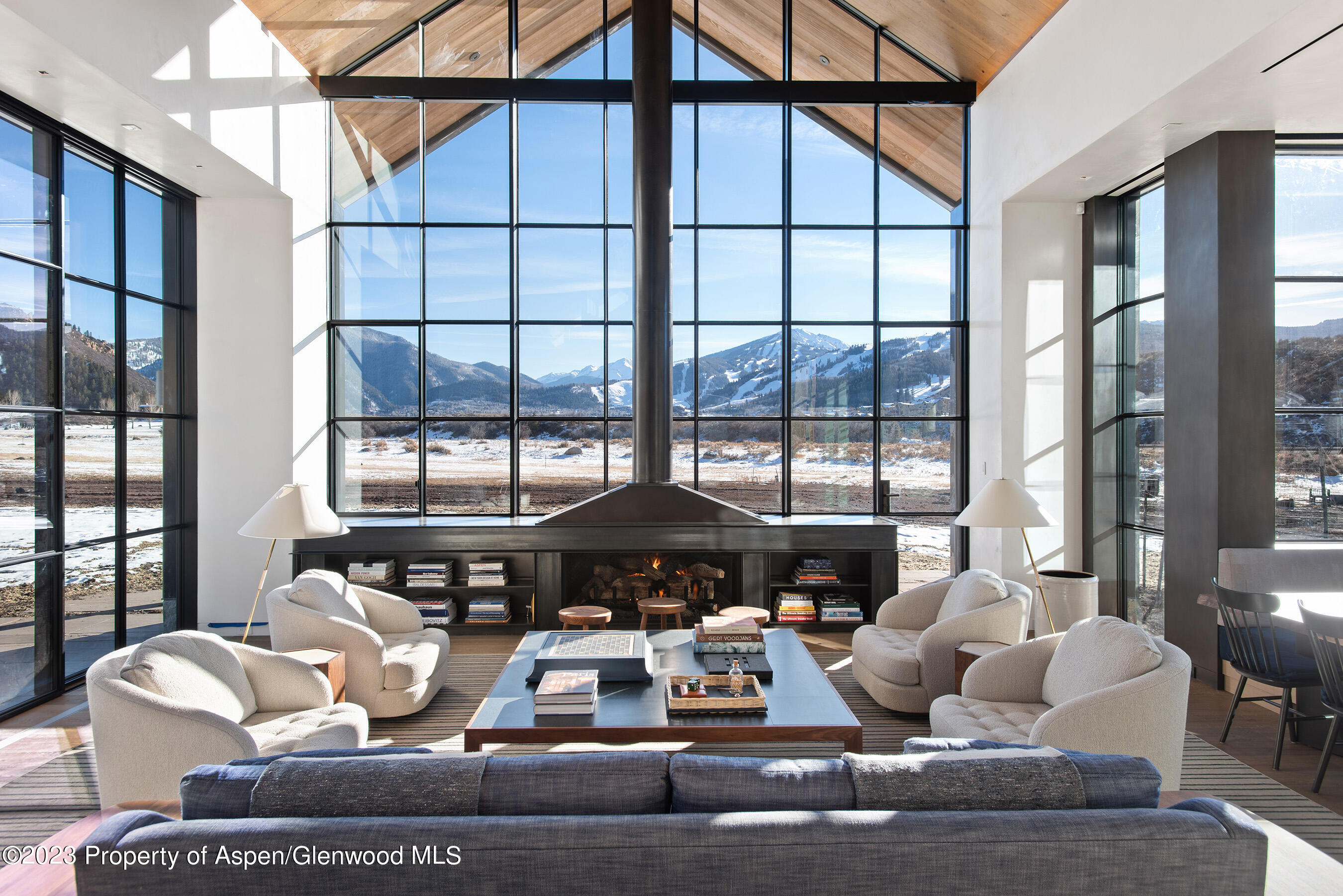 173 Slalom Path Aspen CO 81611