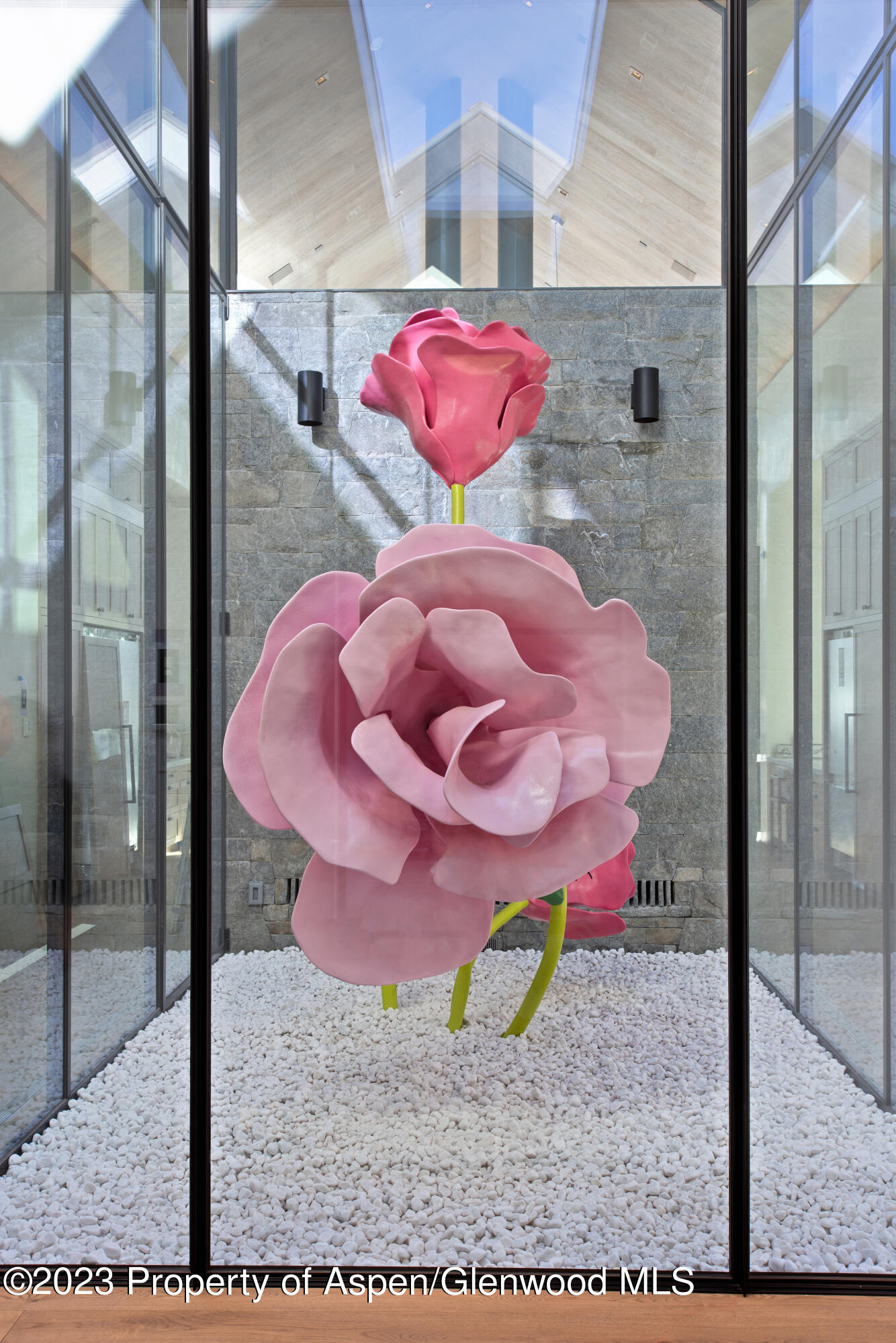 173 Slalom Path Aspen CO 81611