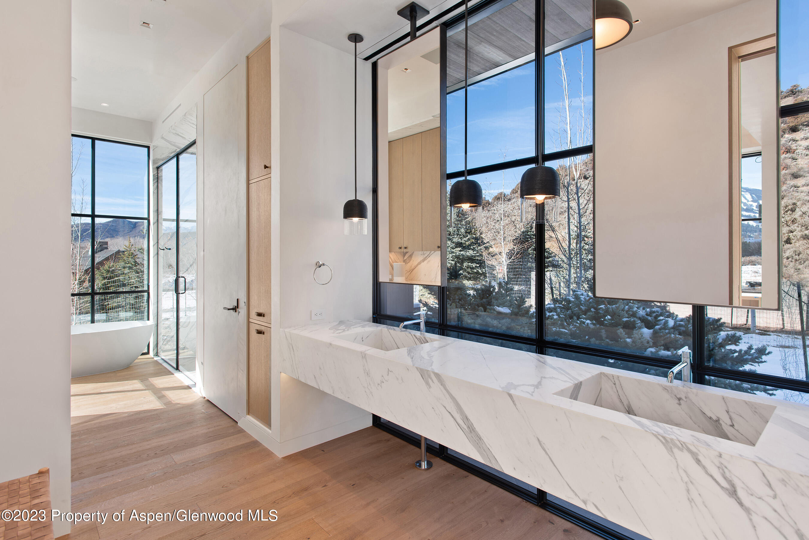 173 Slalom Path Aspen CO 81611