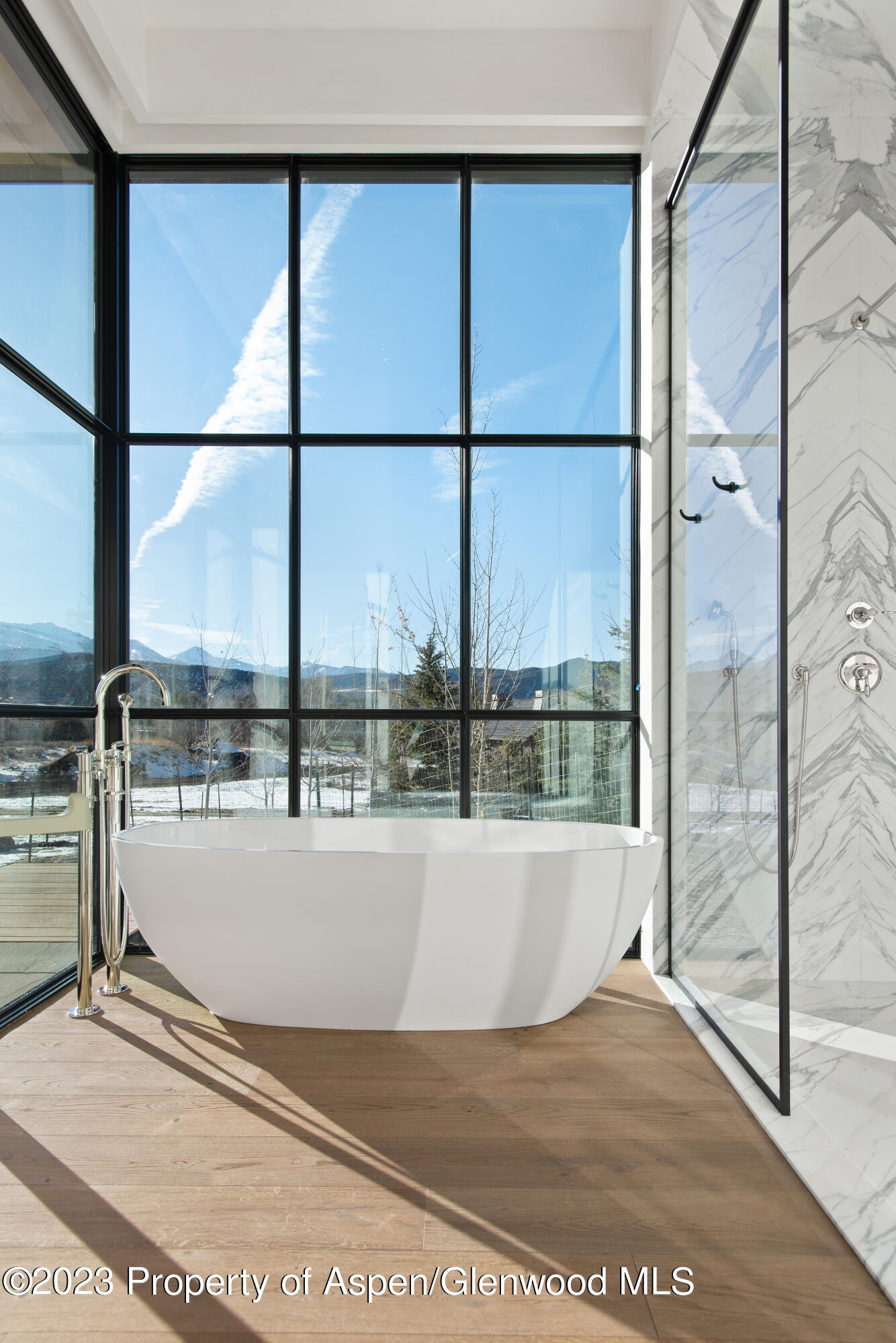 173 Slalom Path Aspen CO 81611