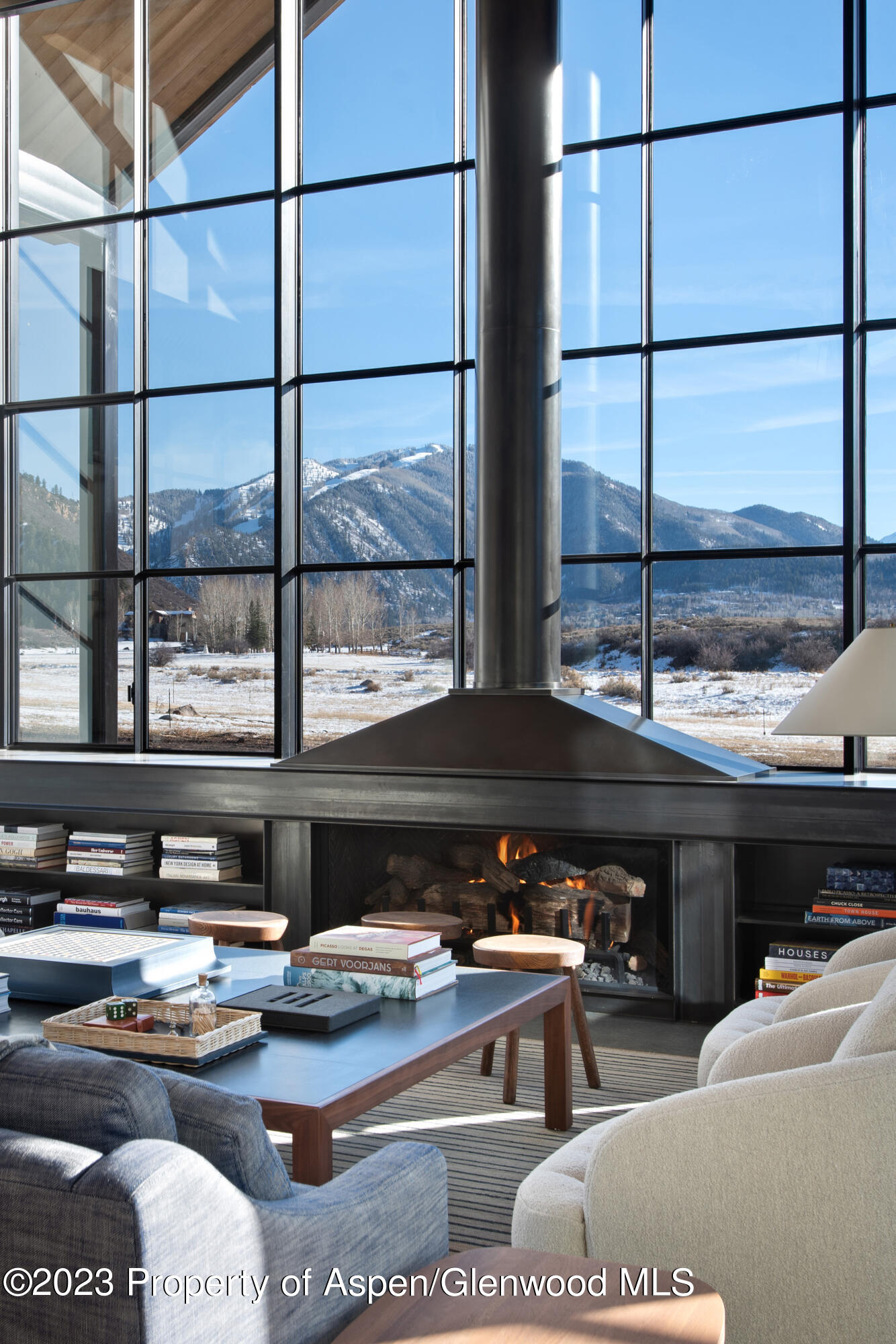 173 Slalom Path Aspen CO 81611