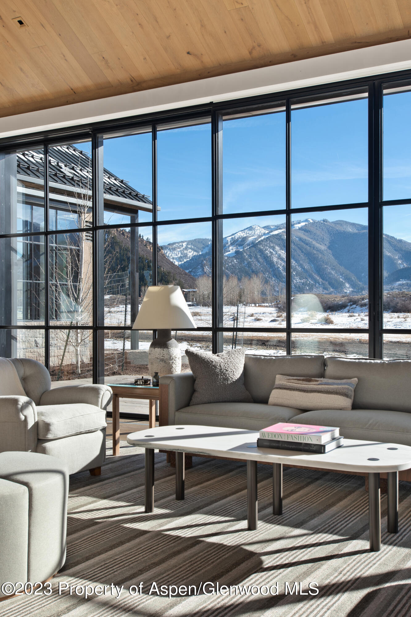 173 Slalom Path Aspen CO 81611