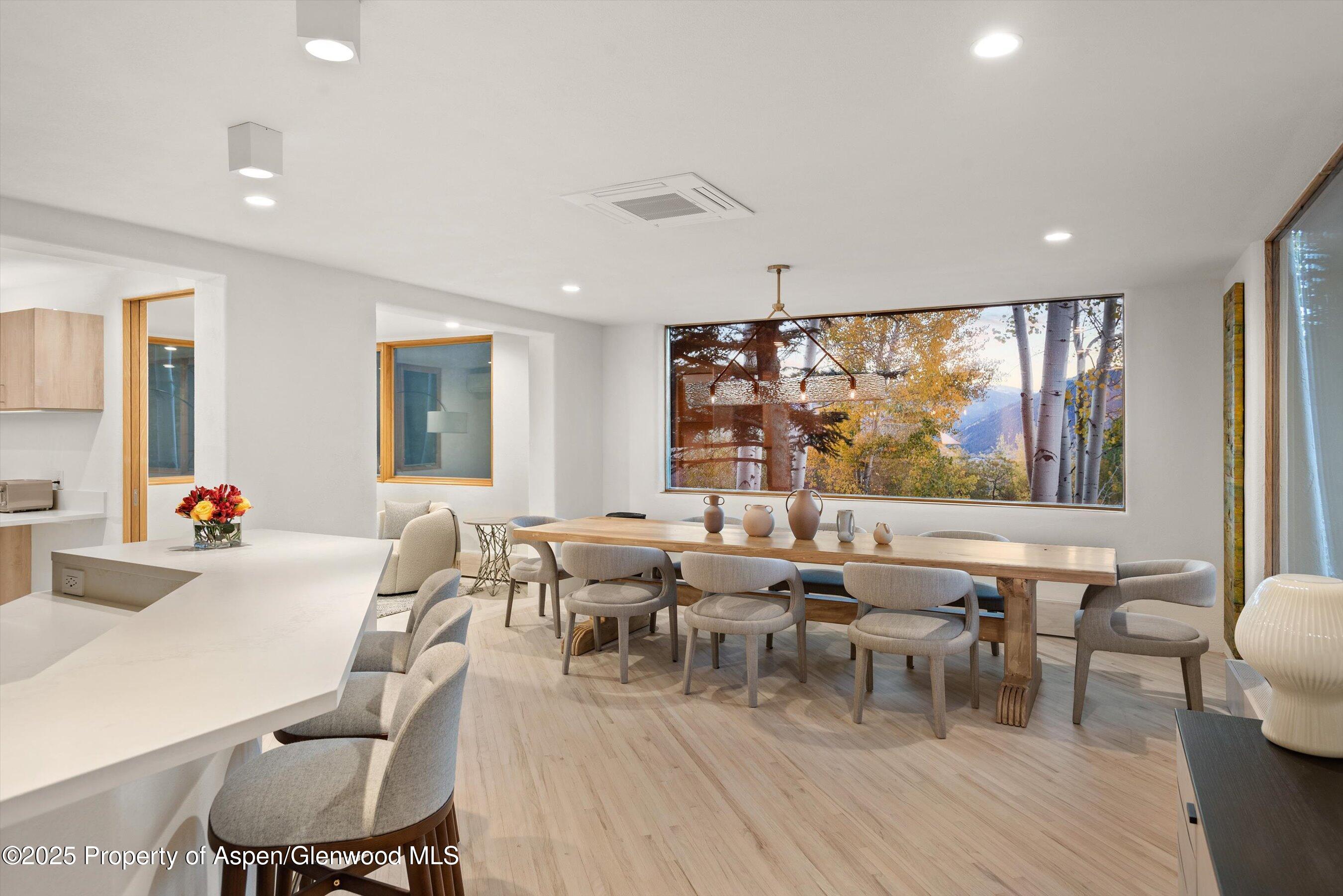 699 Eppley Drive Aspen CO 81611