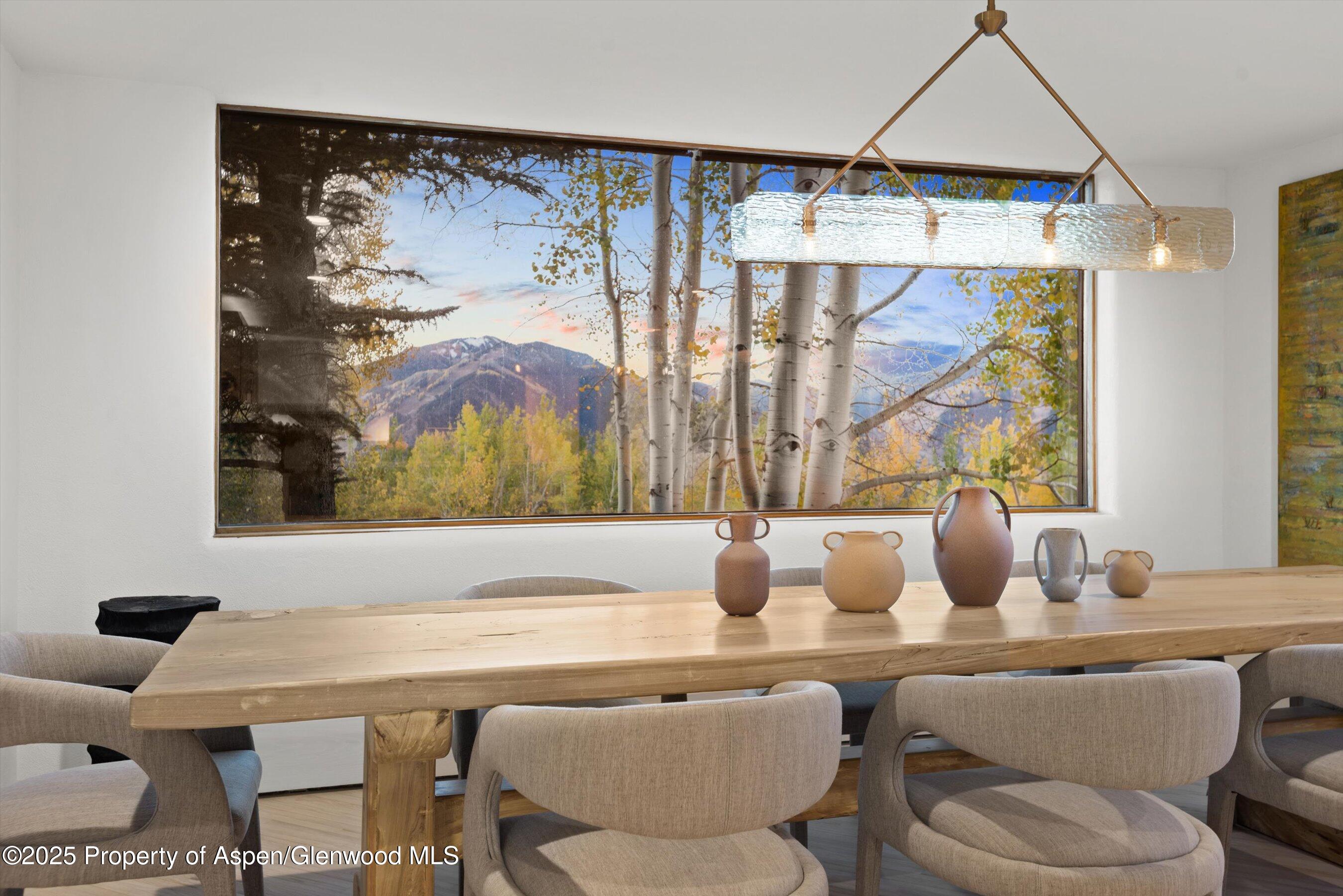 699 Eppley Drive Aspen CO 81611