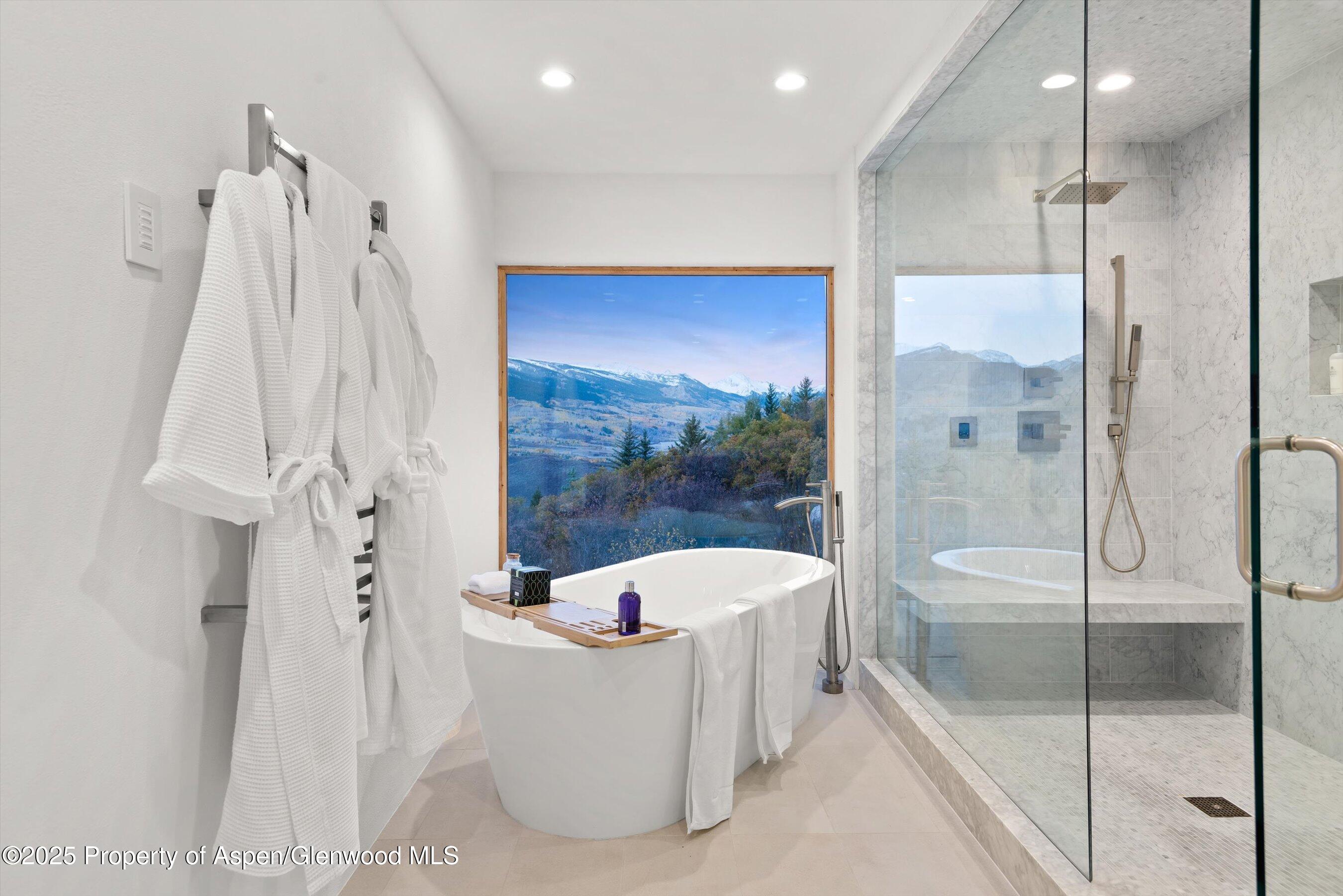 699 Eppley Drive Aspen CO 81611