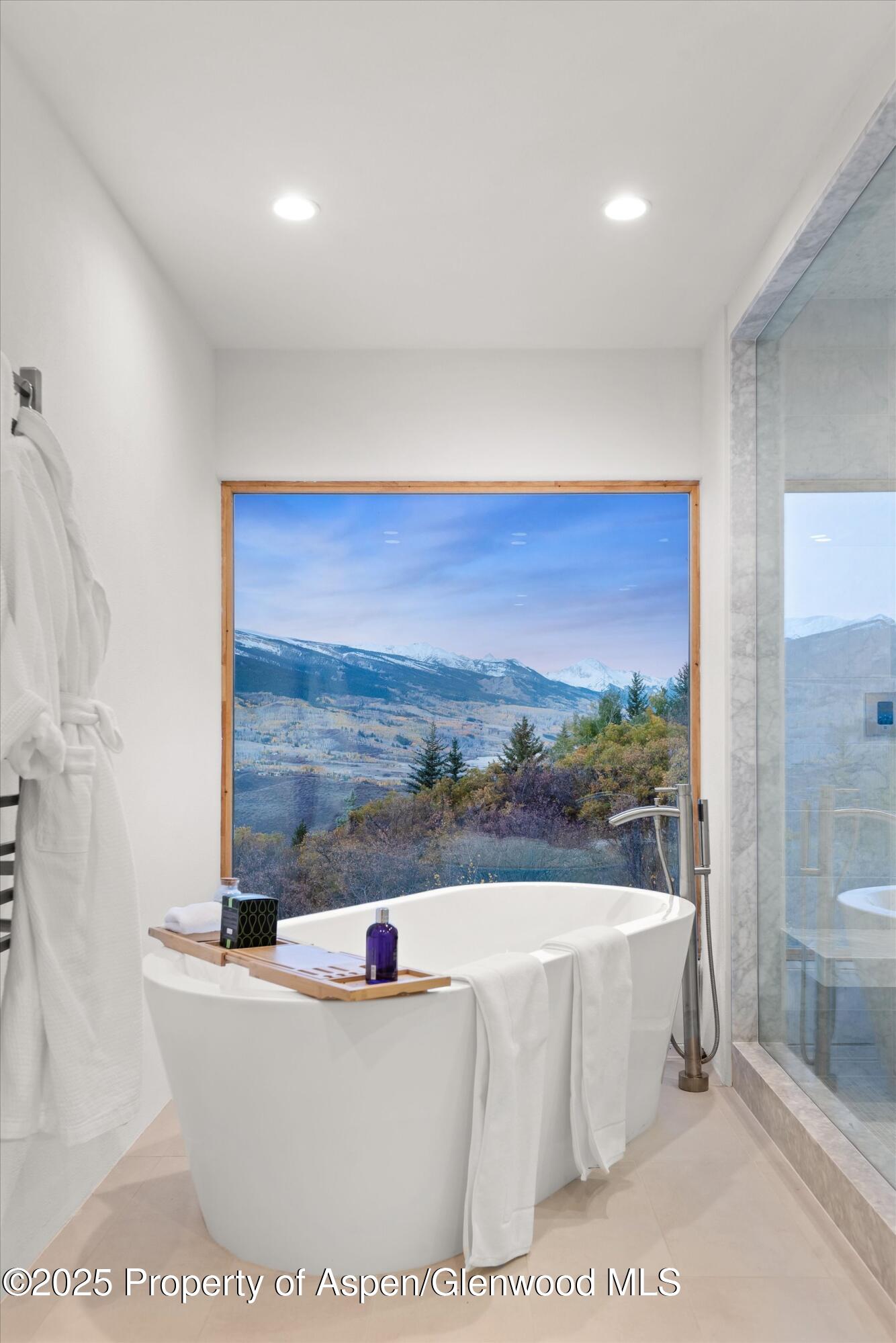 699 Eppley Drive Aspen CO 81611