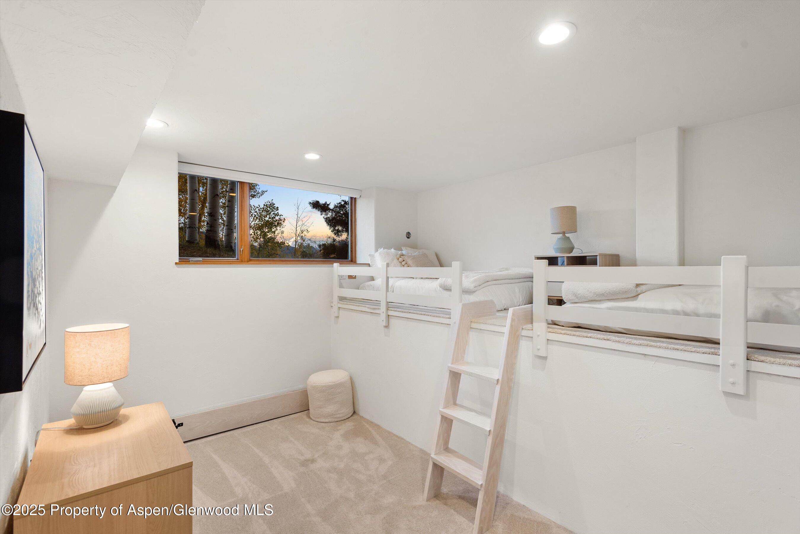 699 Eppley Drive Aspen CO 81611