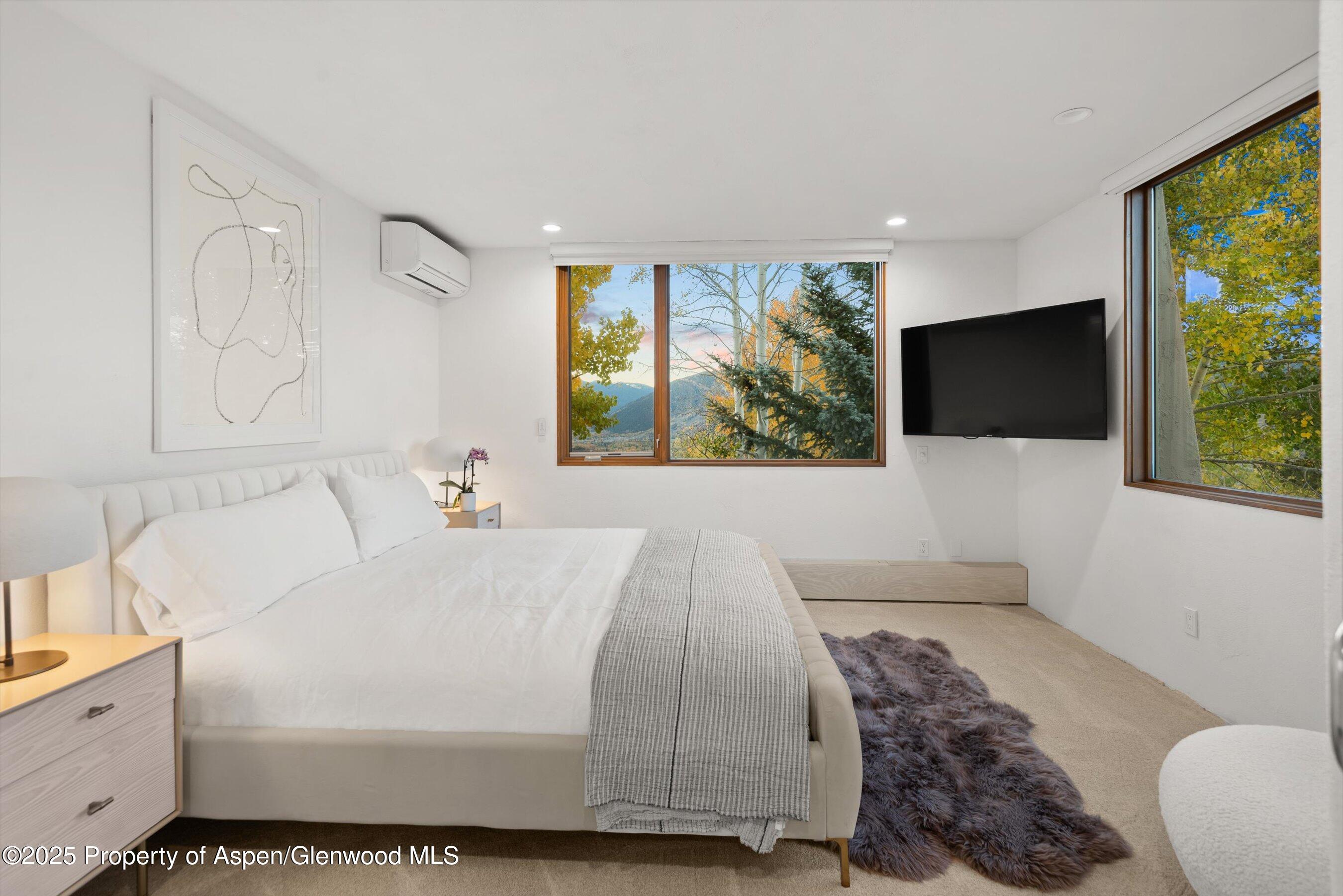 699 Eppley Drive Aspen CO 81611