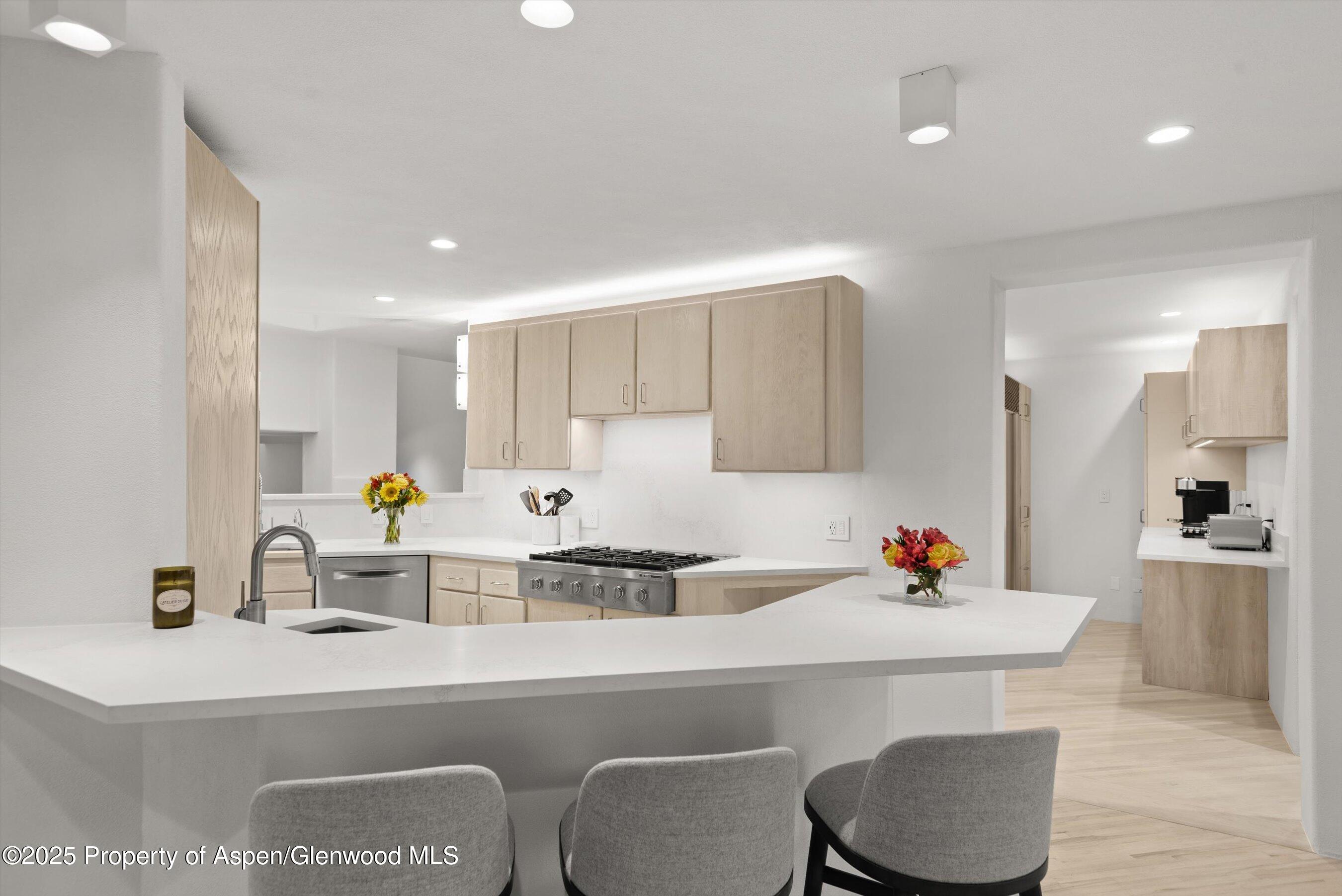 699 Eppley Drive Aspen CO 81611