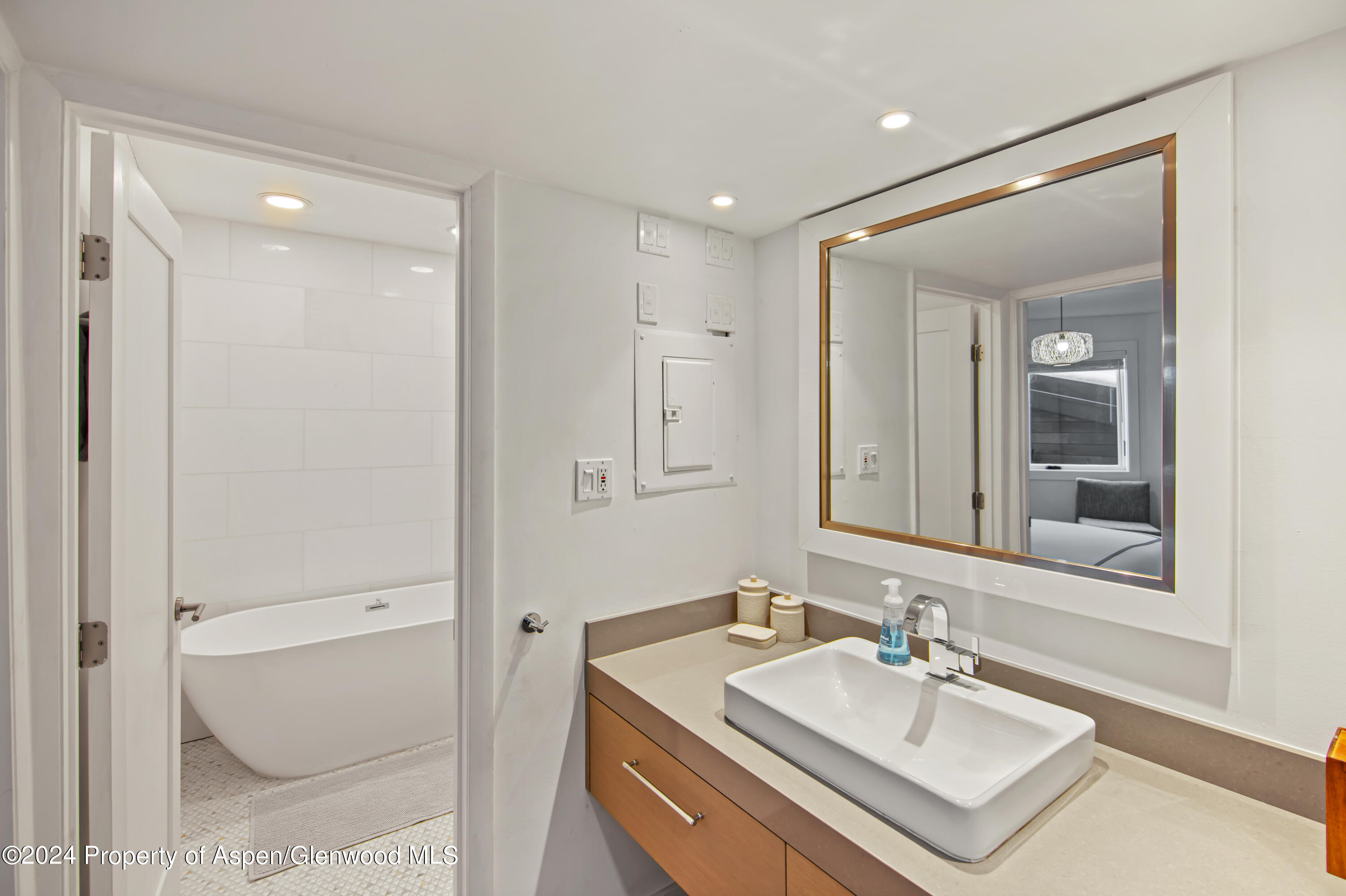 809 S Aspen Street Aspen CO 81611