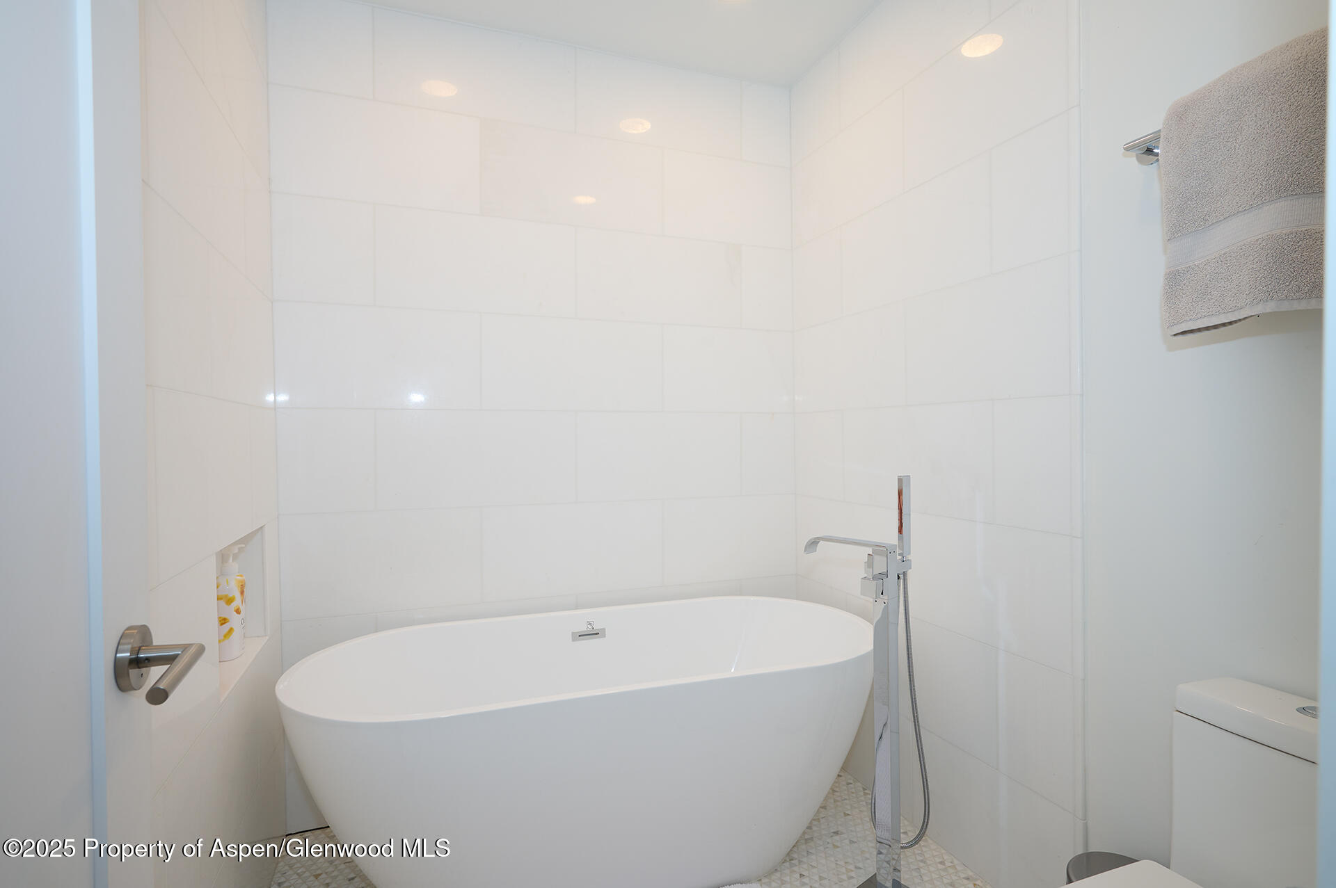 809 S Aspen Street Aspen CO 81611