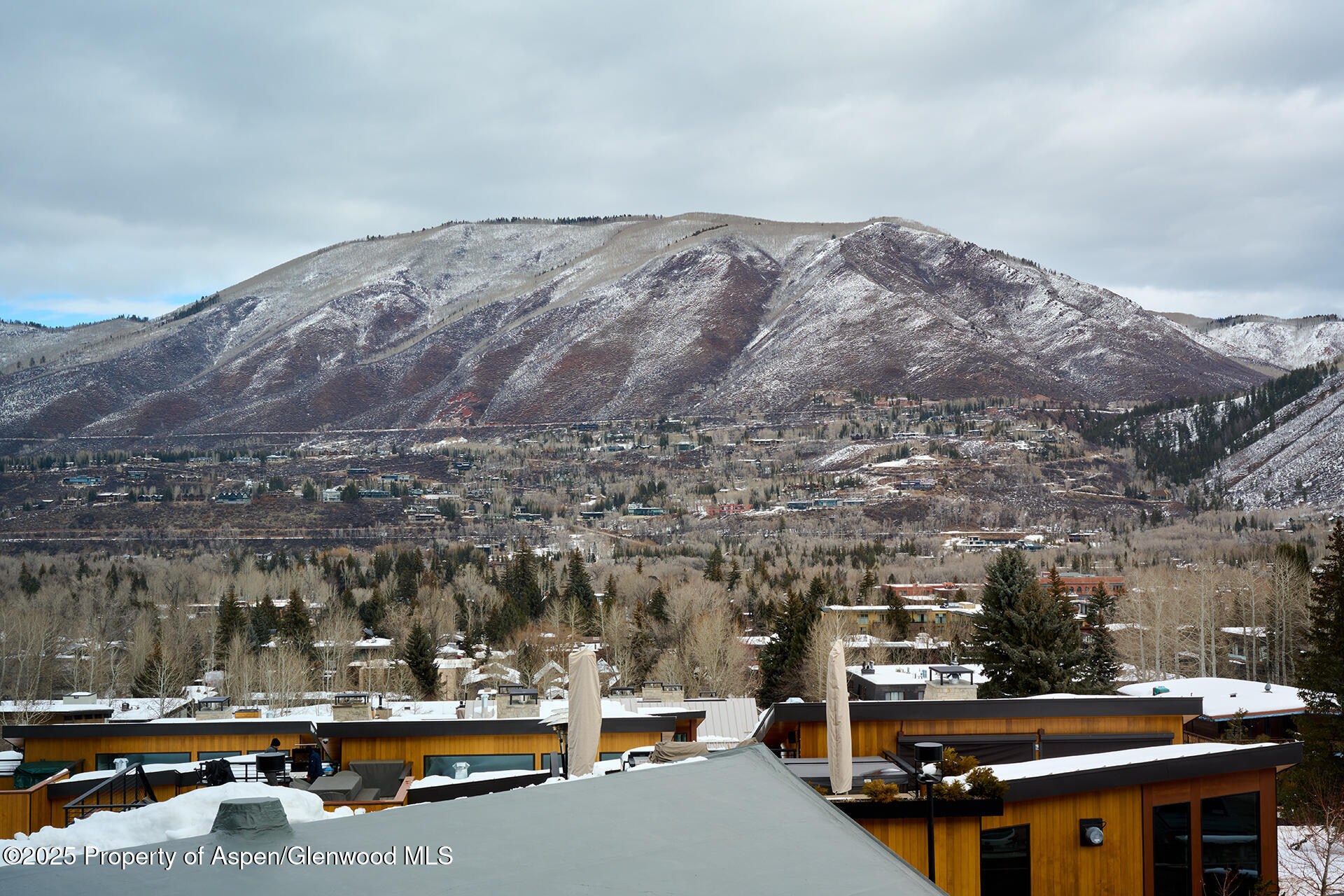 809 S Aspen Street Aspen CO 81611