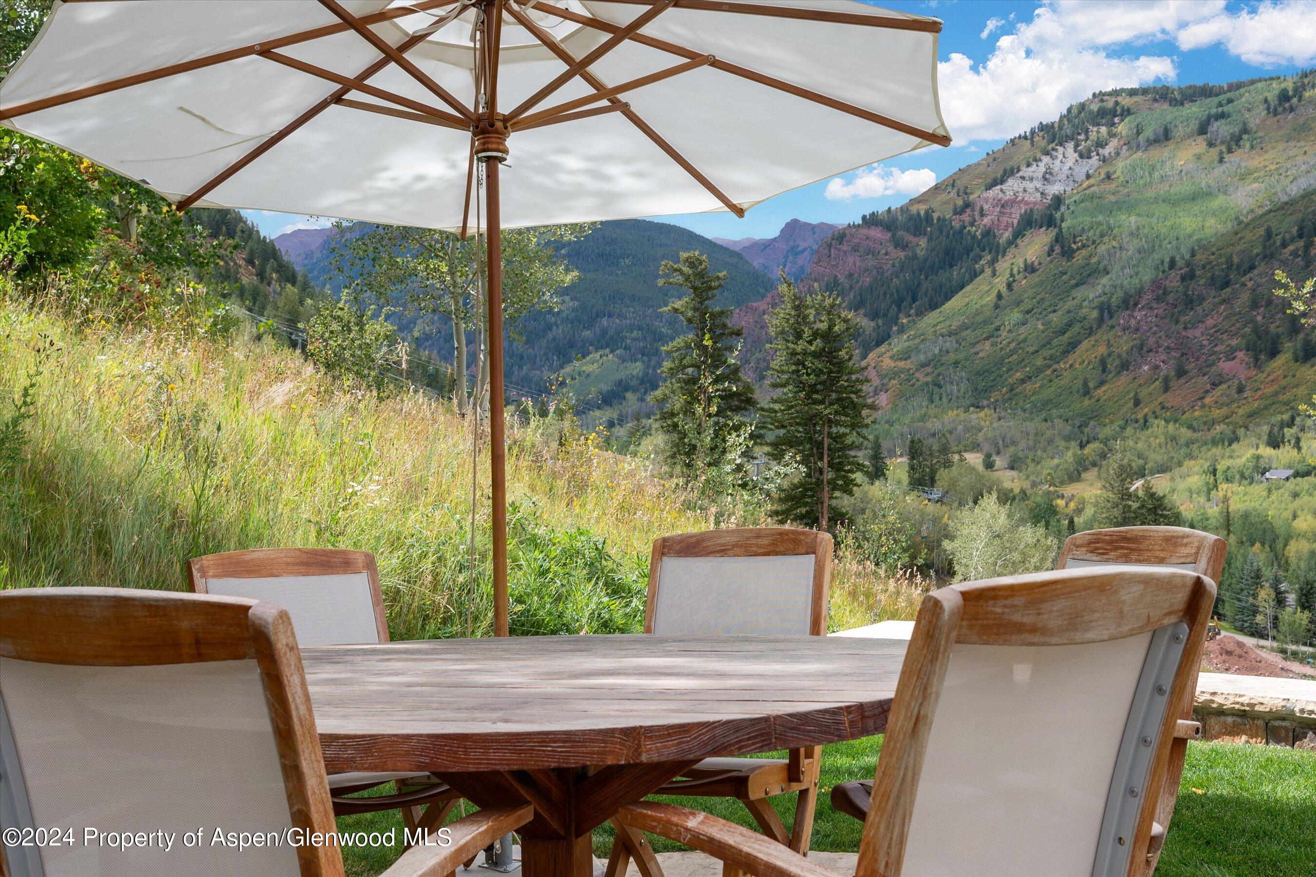 465 Thunderbowl Lane Aspen CO 81611