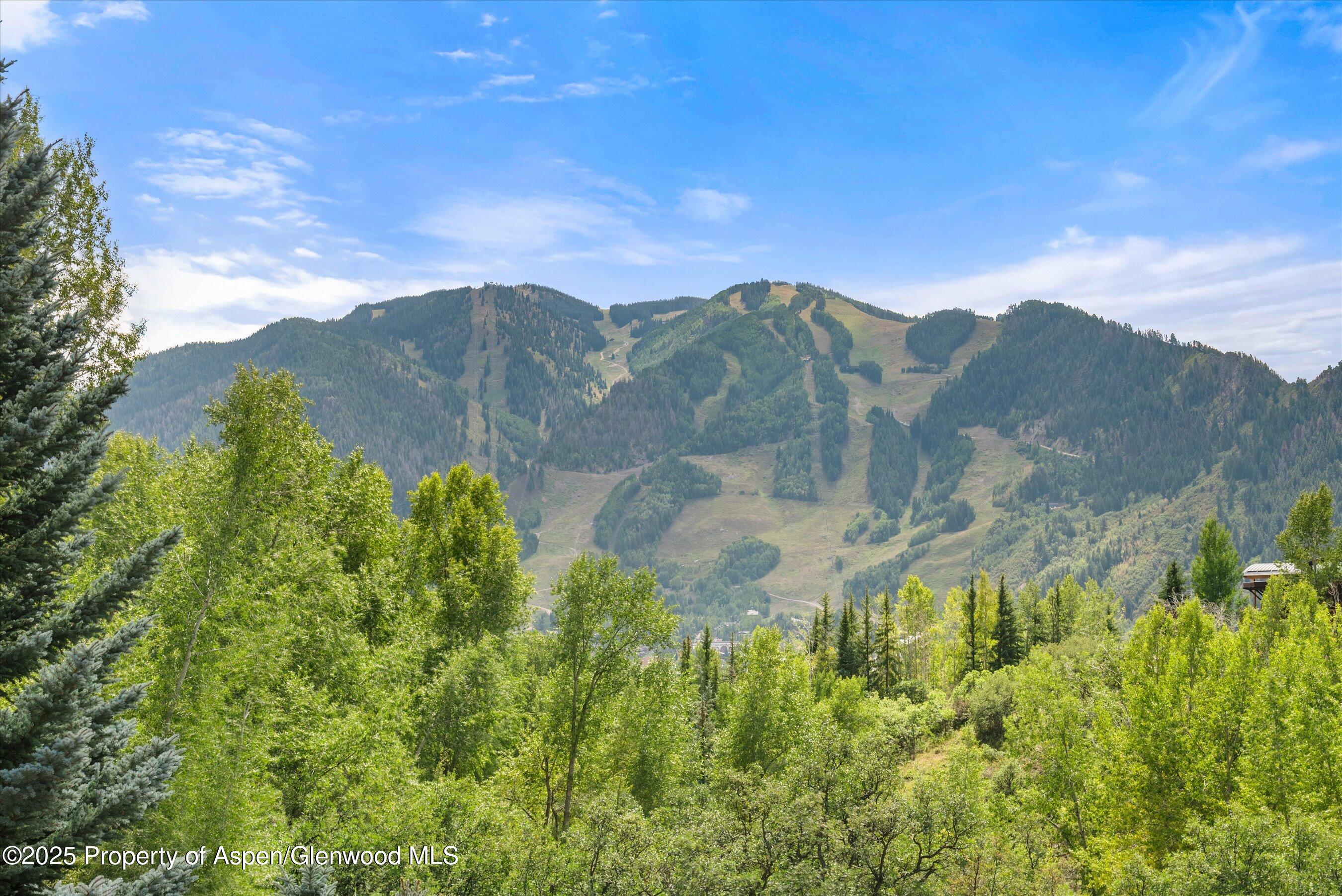 927 Red Mountain Road Aspen CO 81611