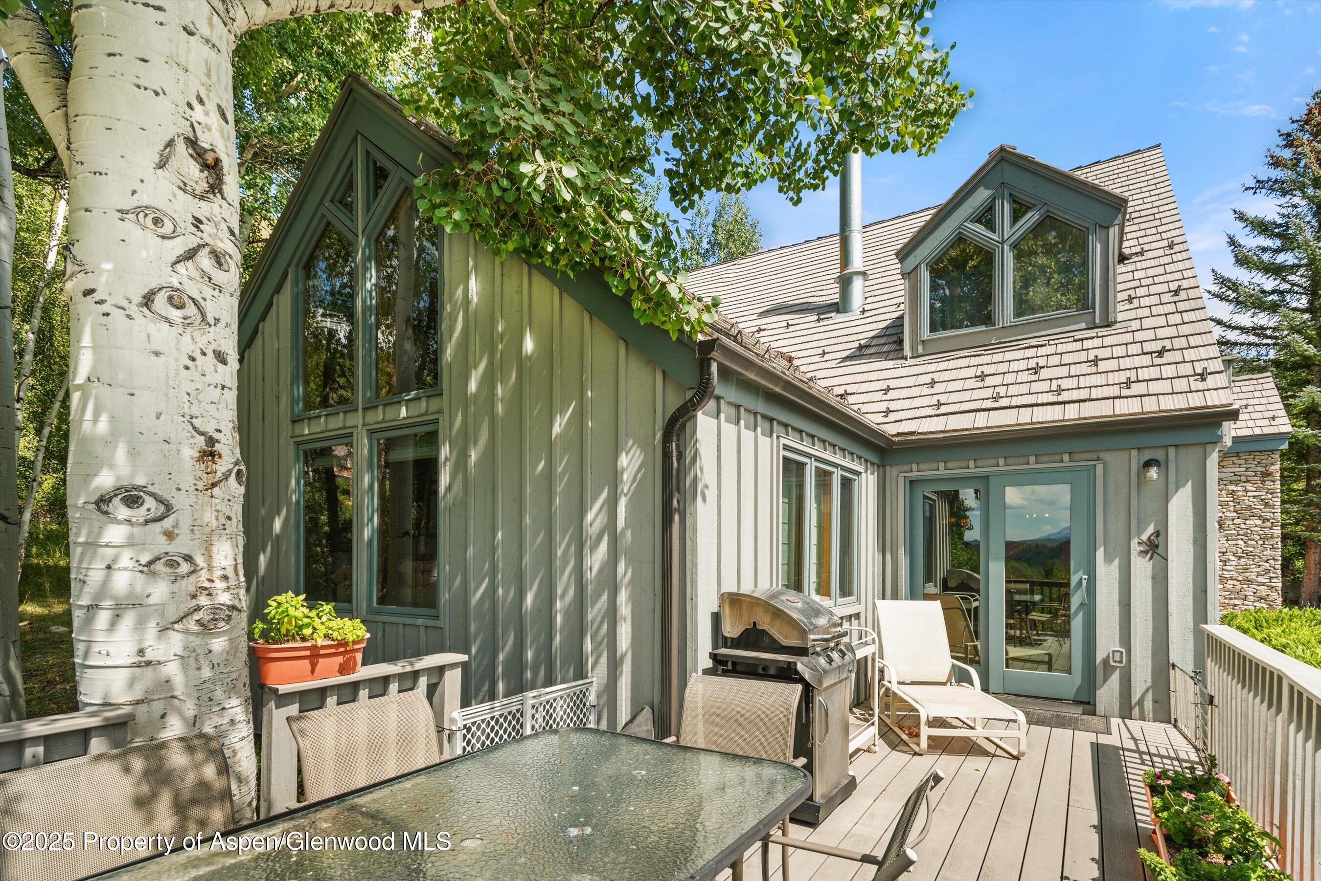 927 Red Mountain Road Aspen CO 81611