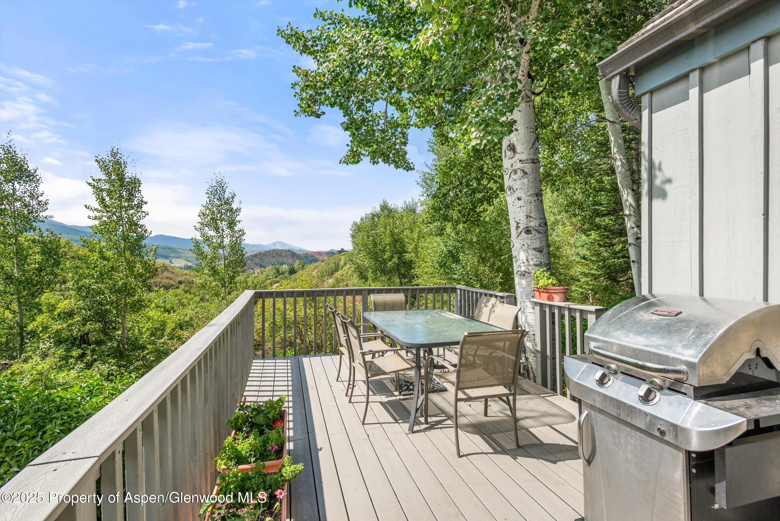 927 Red Mountain Road Aspen CO 81611
