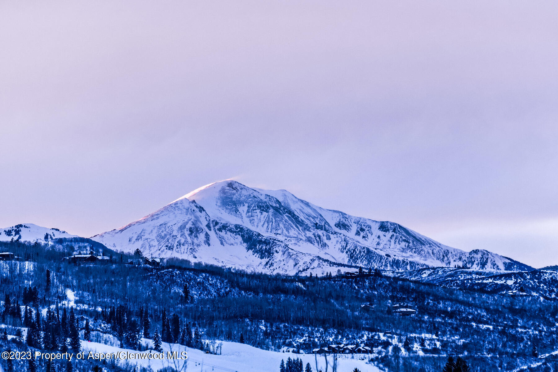 537 Race Street Aspen CO 81611