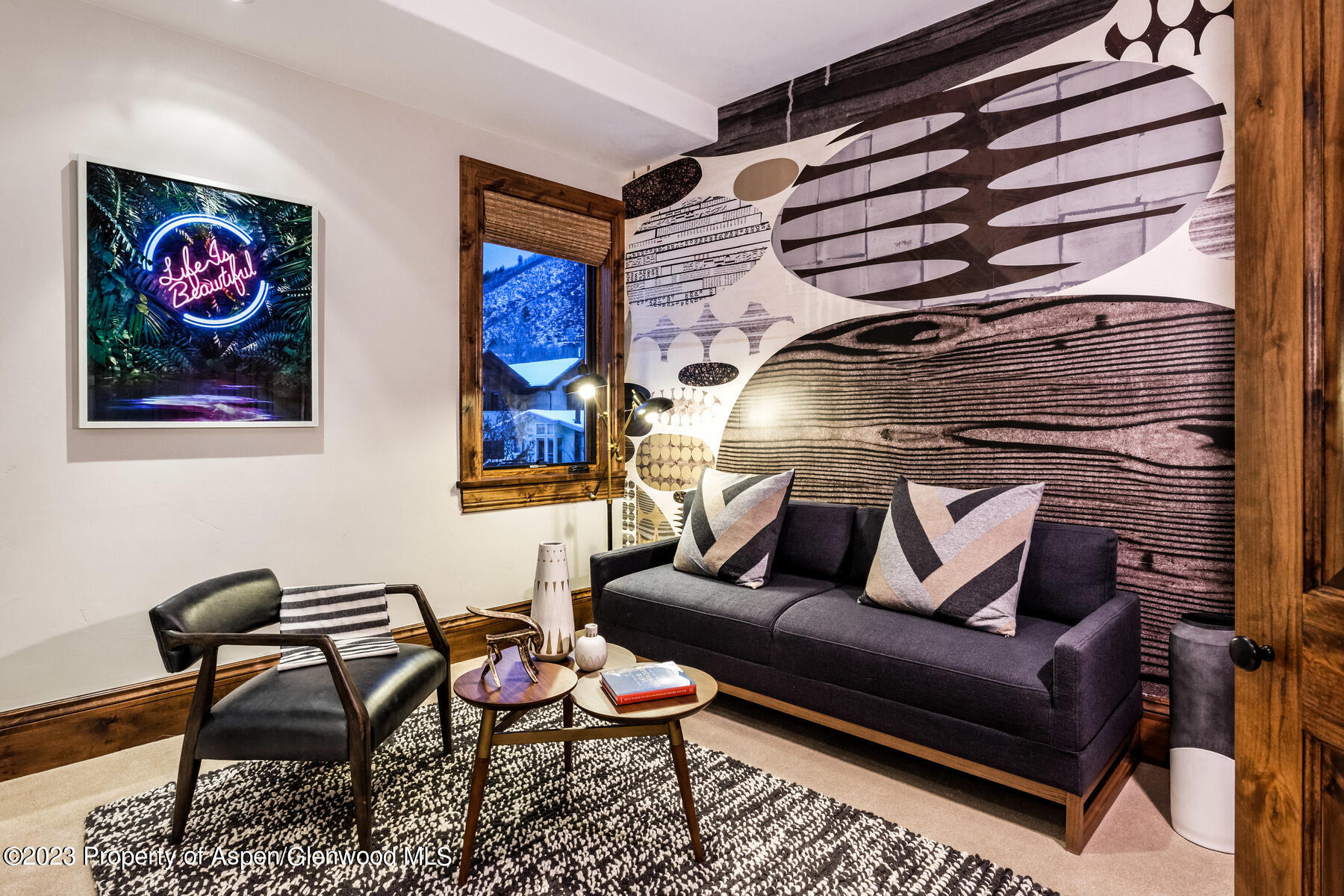 537 Race Street Aspen CO 81611