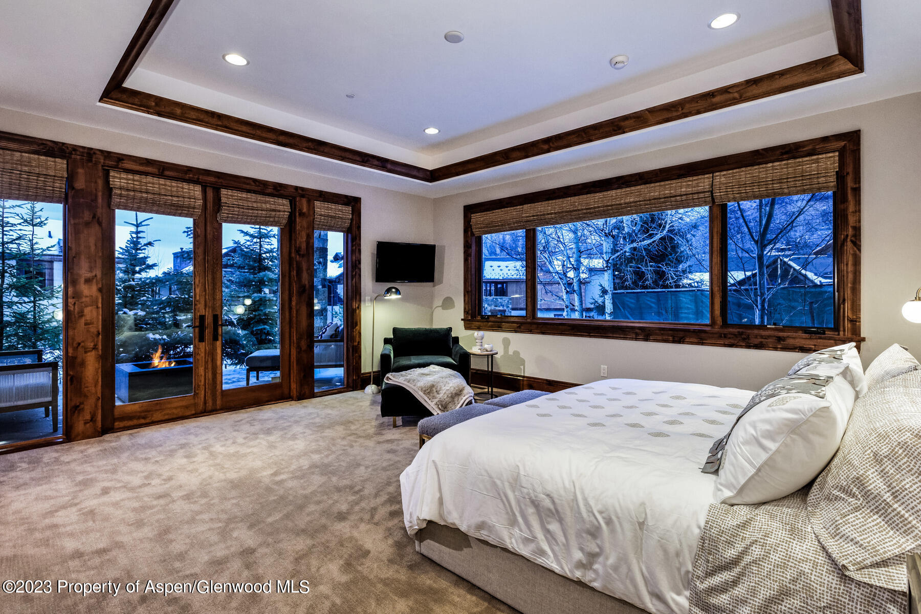 537 Race Street Aspen CO 81611