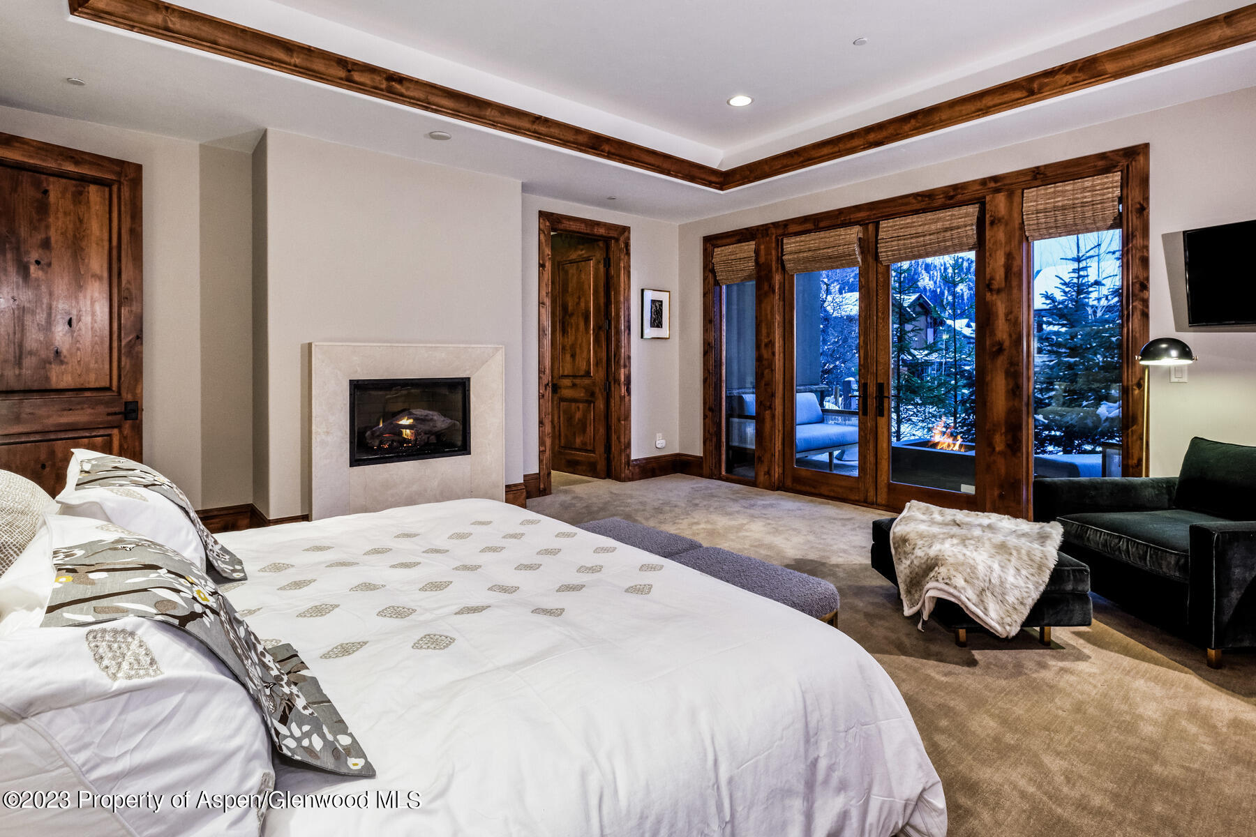 537 Race Street Aspen CO 81611