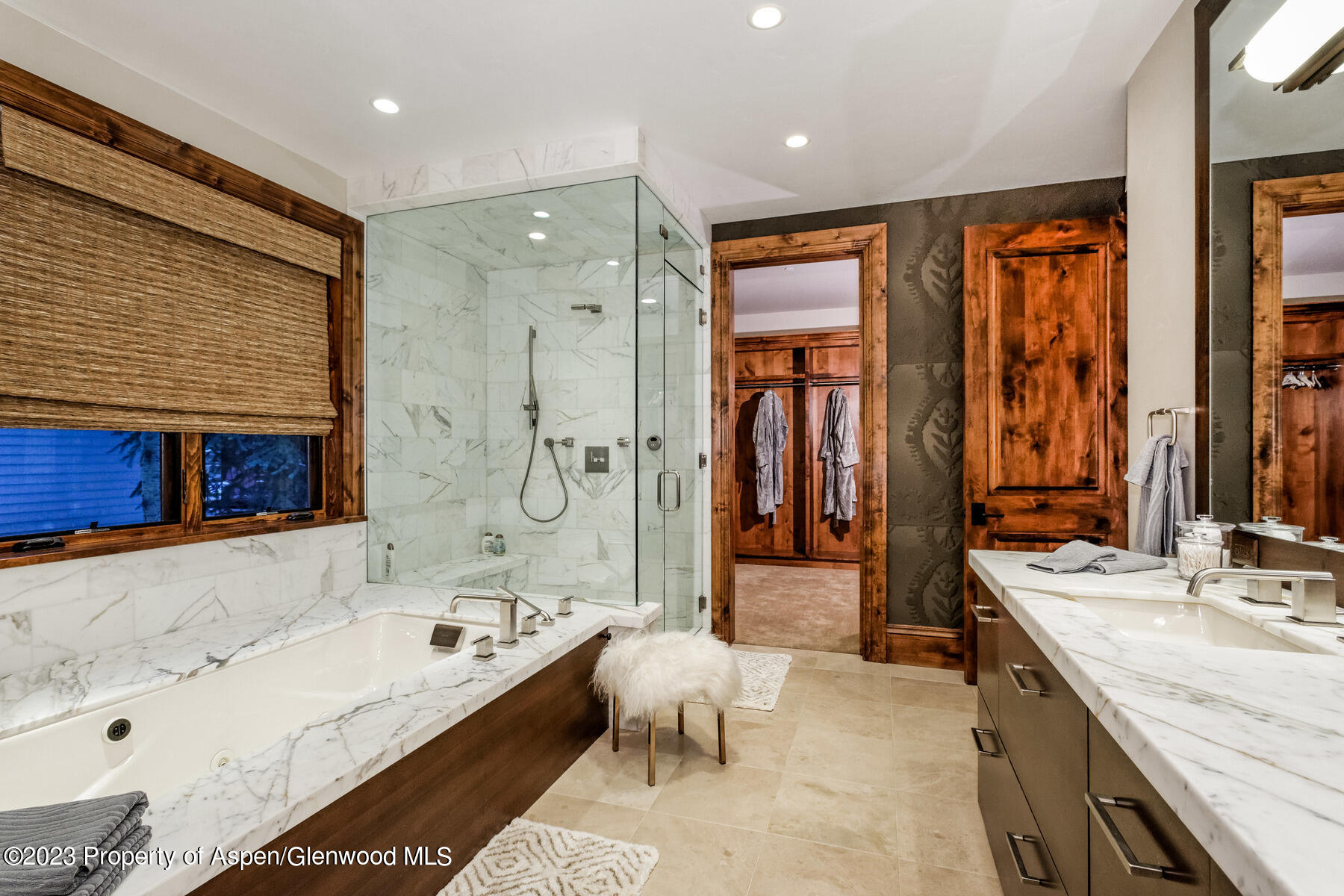 537 Race Street Aspen CO 81611