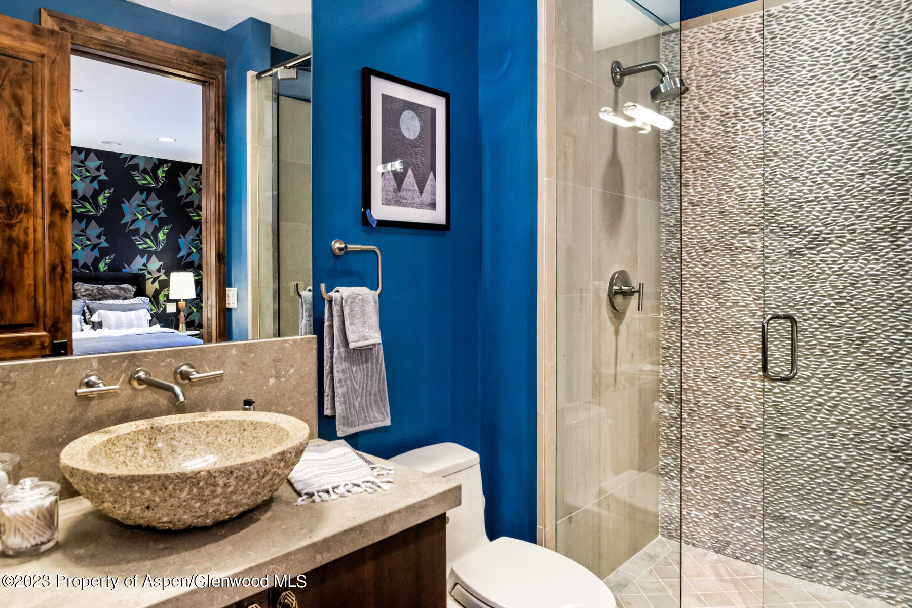 537 Race Street Aspen CO 81611