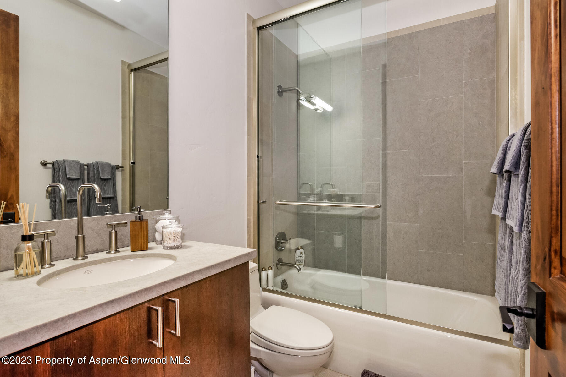 537 Race Street Aspen CO 81611