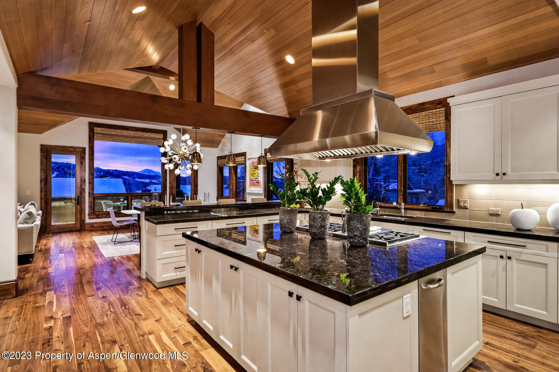 537 Race Street Aspen CO 81611