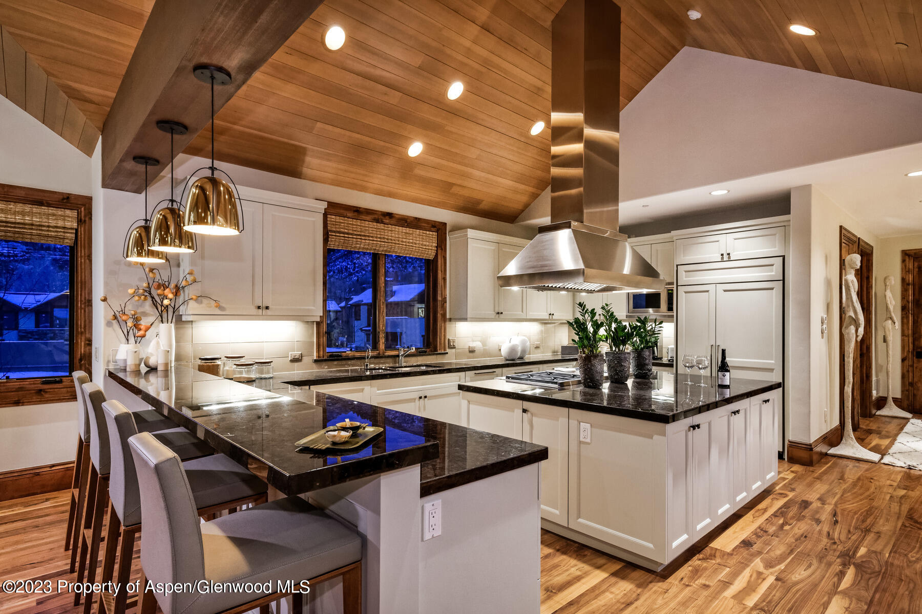 537 Race Street Aspen CO 81611