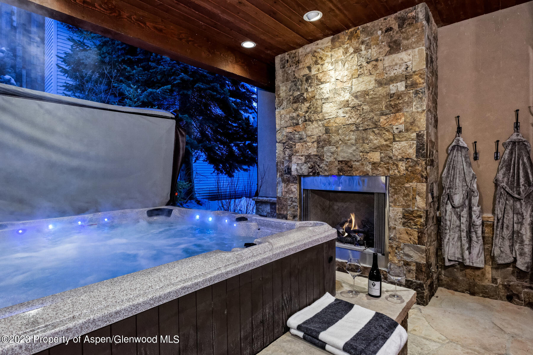 537 Race Street Aspen CO 81611