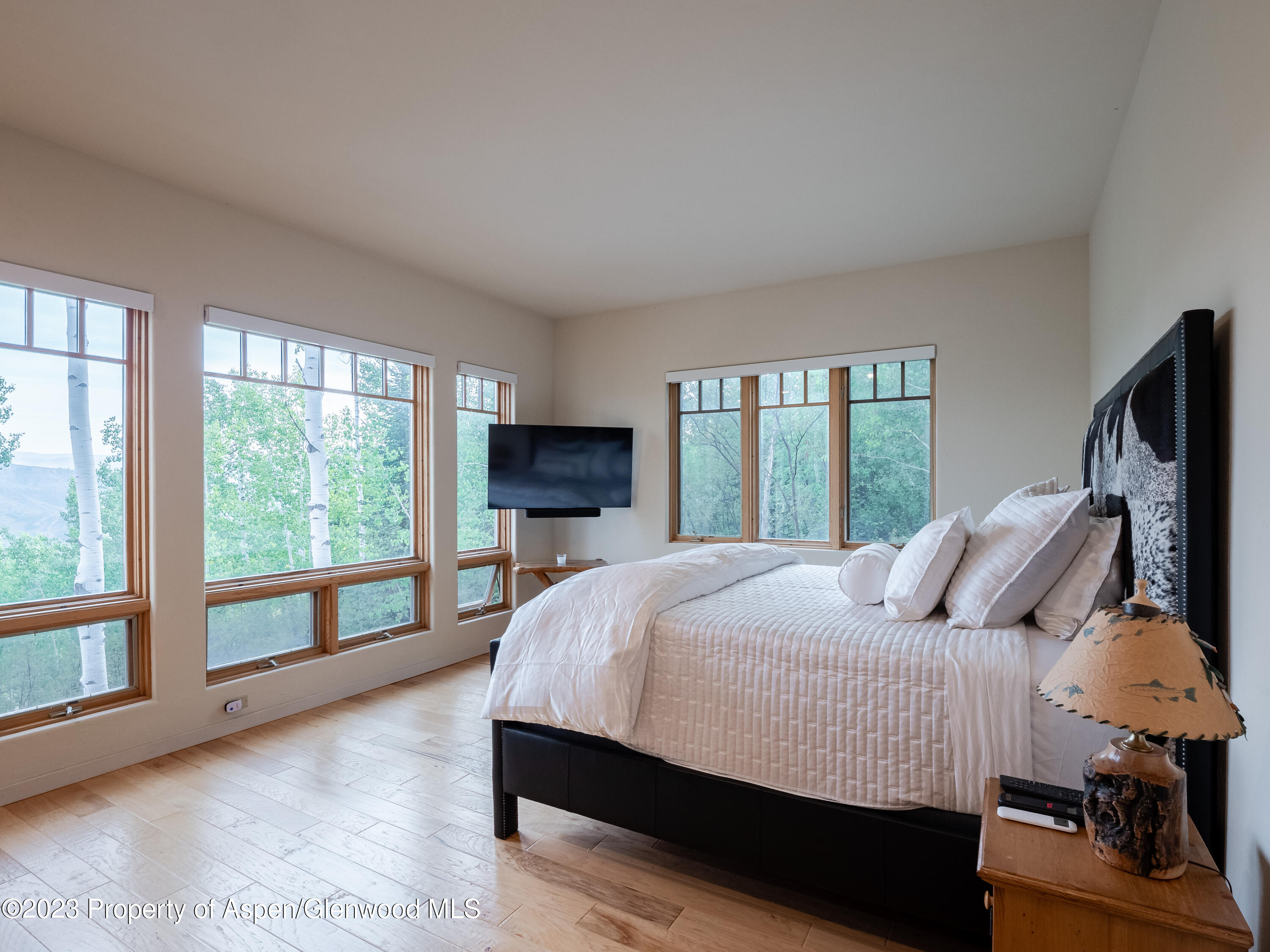 40 Maple Ridge Lane Snowmass Village CO 81615