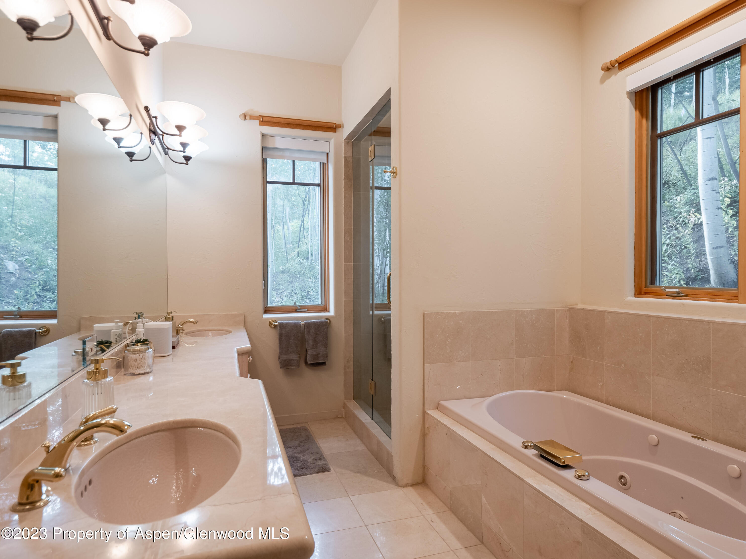 40 Maple Ridge Lane Snowmass Village CO 81615