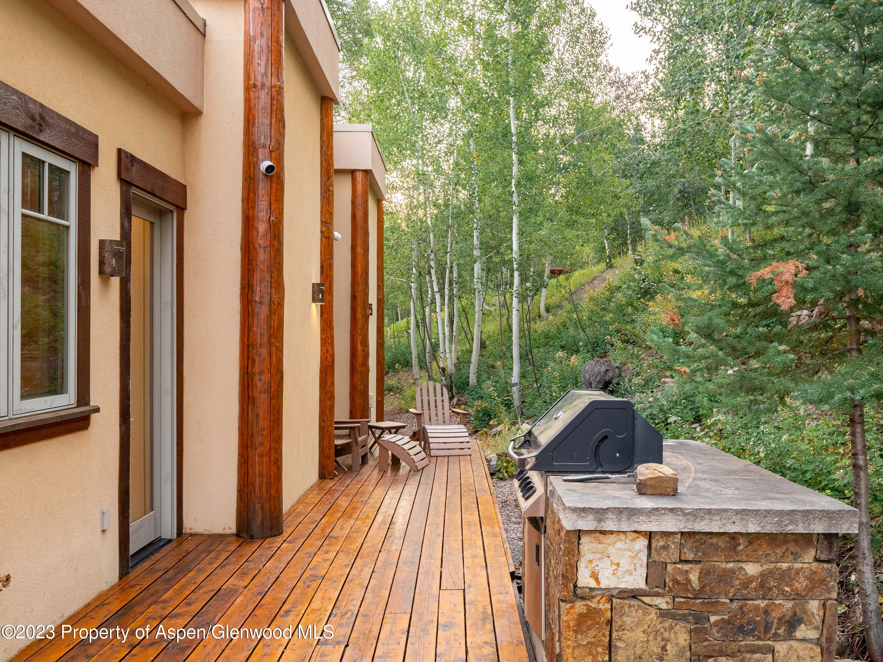 40 Maple Ridge Lane Snowmass Village CO 81615